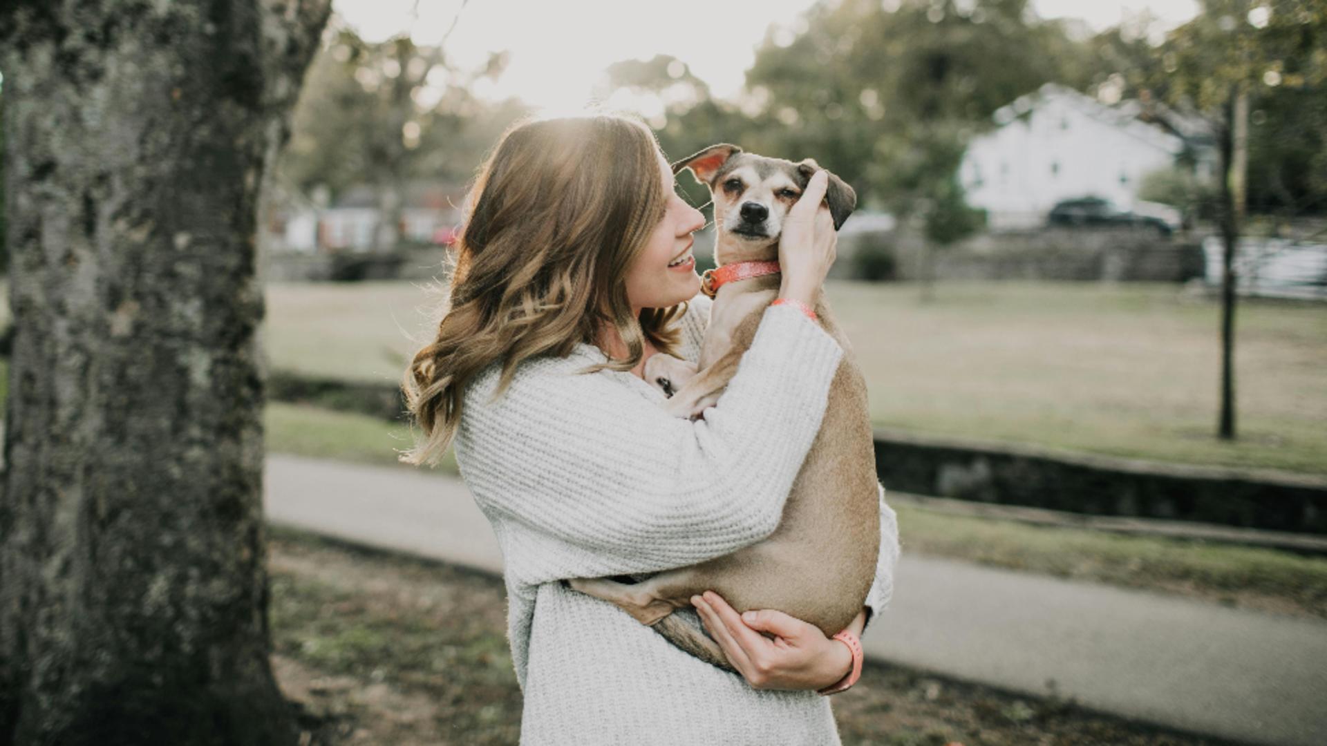 Animalul tău de companie te menține sănătos din punct de vedere psihic. Ce au demonstrat studiile!