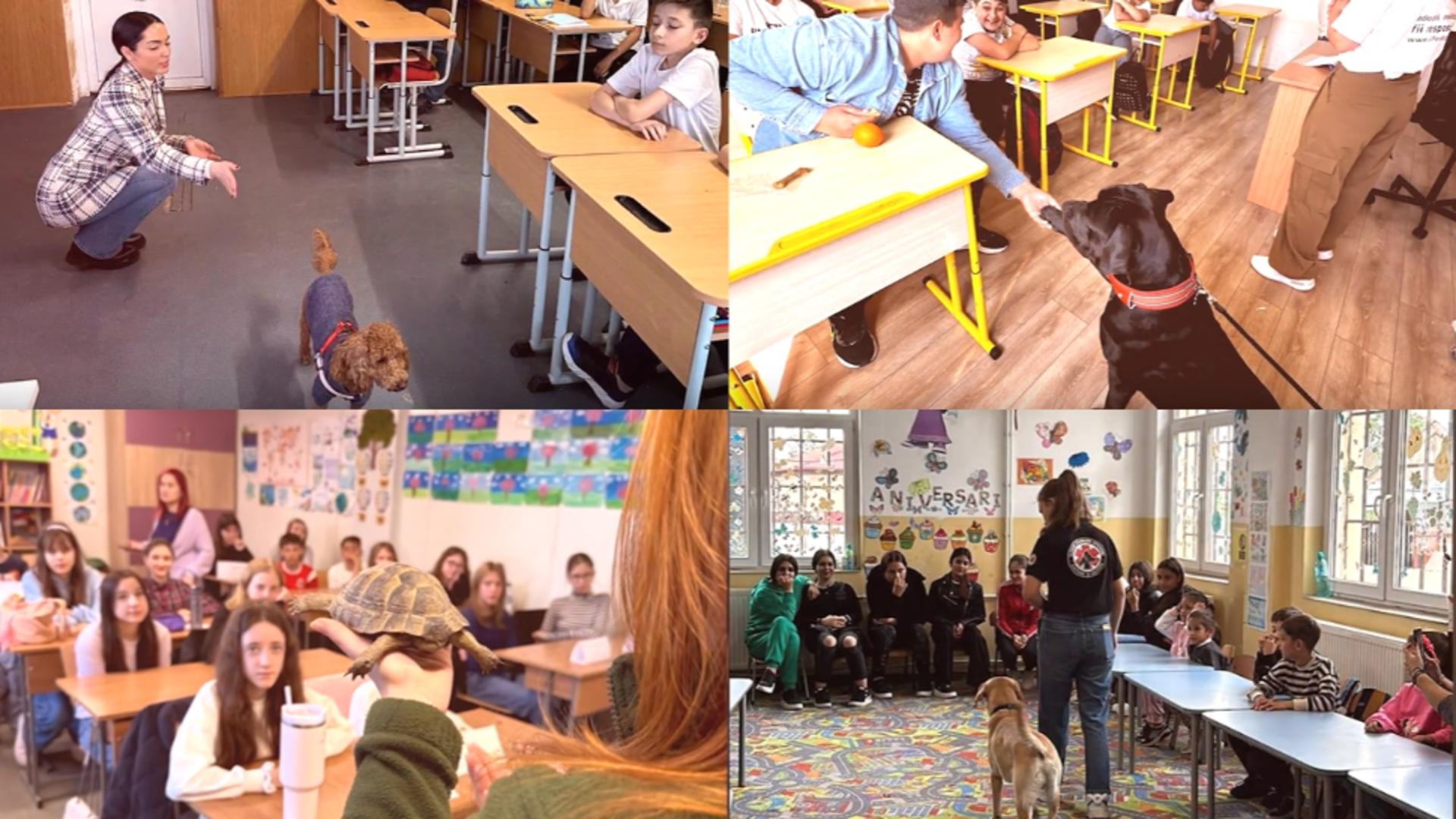 ”Ora cu şi pentru animale” 