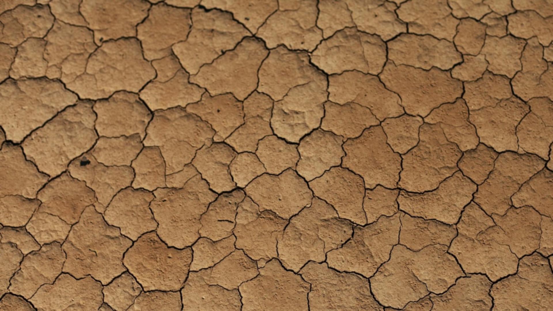 Studiu alarmant: producție alimentară redusă la jumătate. Omenirea, în pragul unui dezastru