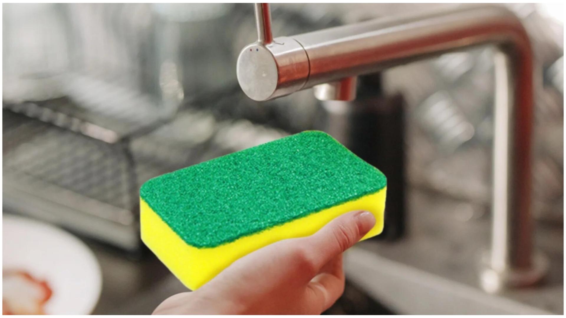 Motivul pentru care trebuie să ții un burete de vase umed în condelator