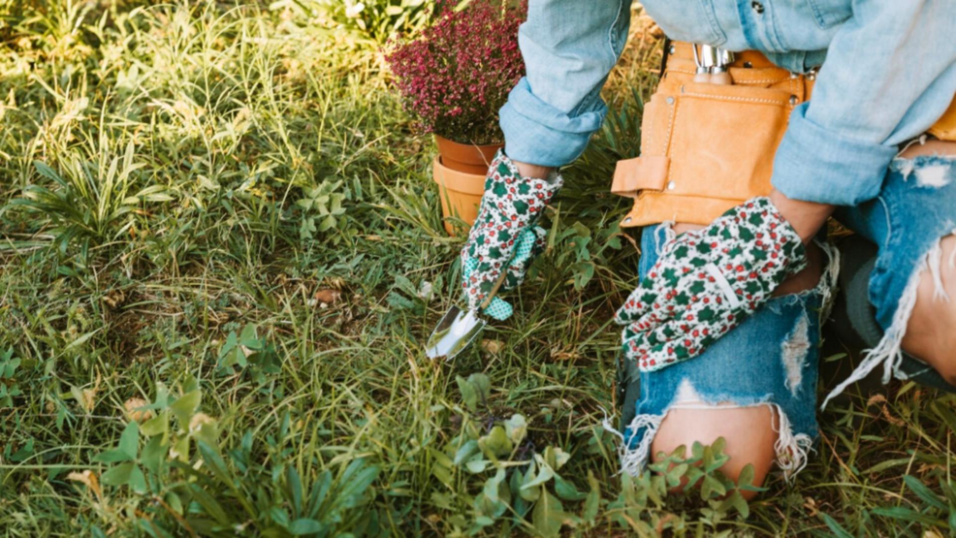 Secretul bunicilor ca să scăpăm de buruieni