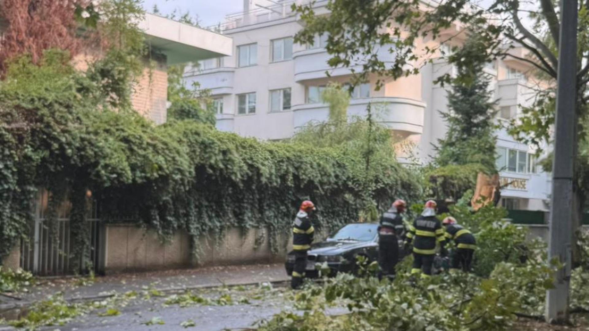 Echipele de intervenție au îndepărtat resturile arborelui (foto: Realitatea Plus)