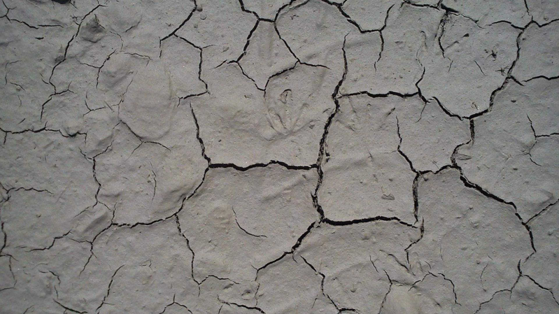 Italia, lovită de vreme extremă: doi morți în urma caniculei și a inundațiilor devastatoare