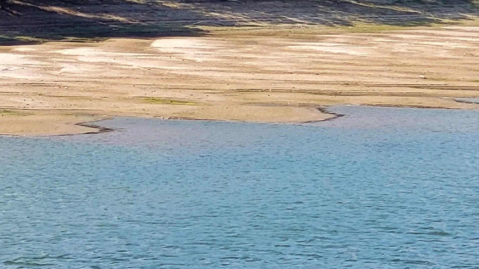 Mobilizare contracronometru: tineri dispăruți în apele Dunării