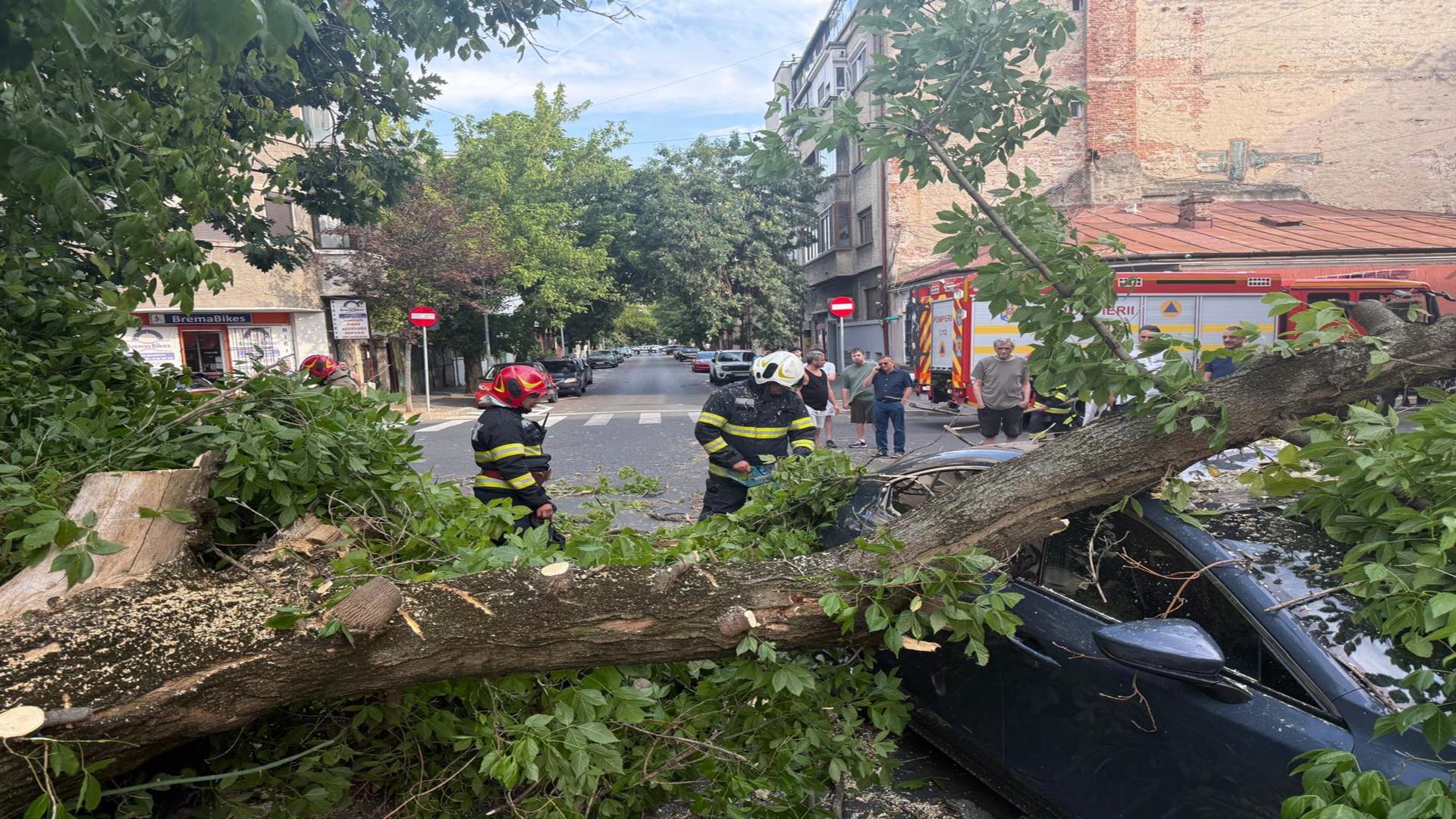 Pompierii intervin în zeci de locații pentru a remedia efectele furtunii (ISU București-Ilfov)