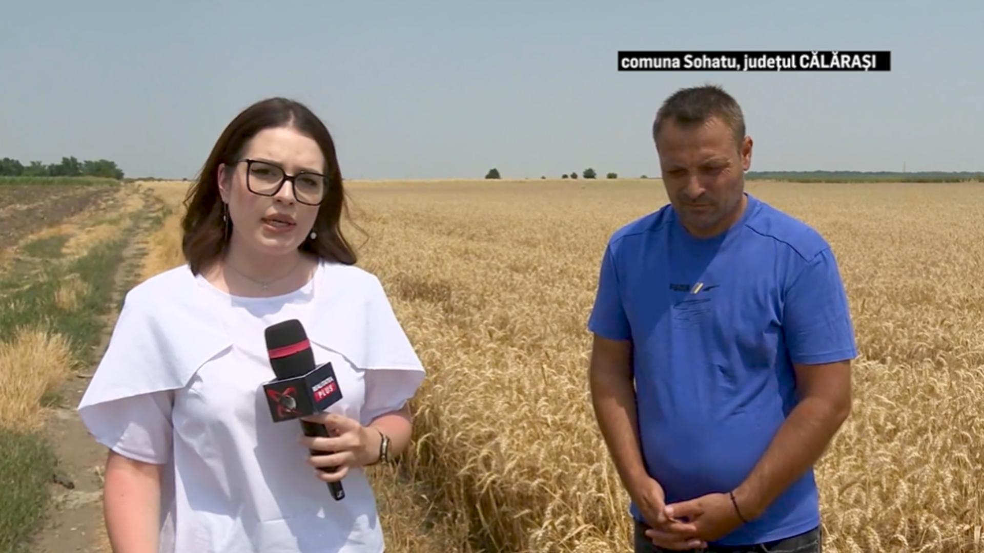 Video. Disperare pe câmpurile României. Fermierii nu își scot banii investiți din recolte. ”Sunt prețuri care erau acum 10 ani. Ne găsesc nod în papură să nu vină să ia marfa”