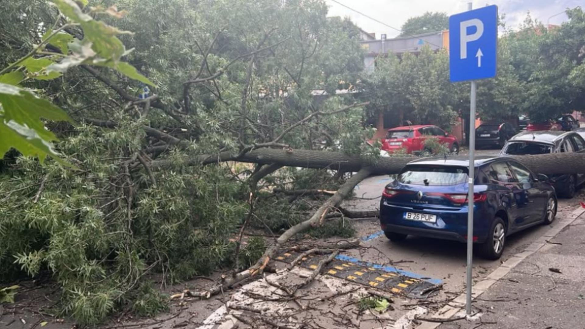 Pompierii intervin în zeci de locații pentru a remedia efectele furtunii (ISU București-Ilfov)