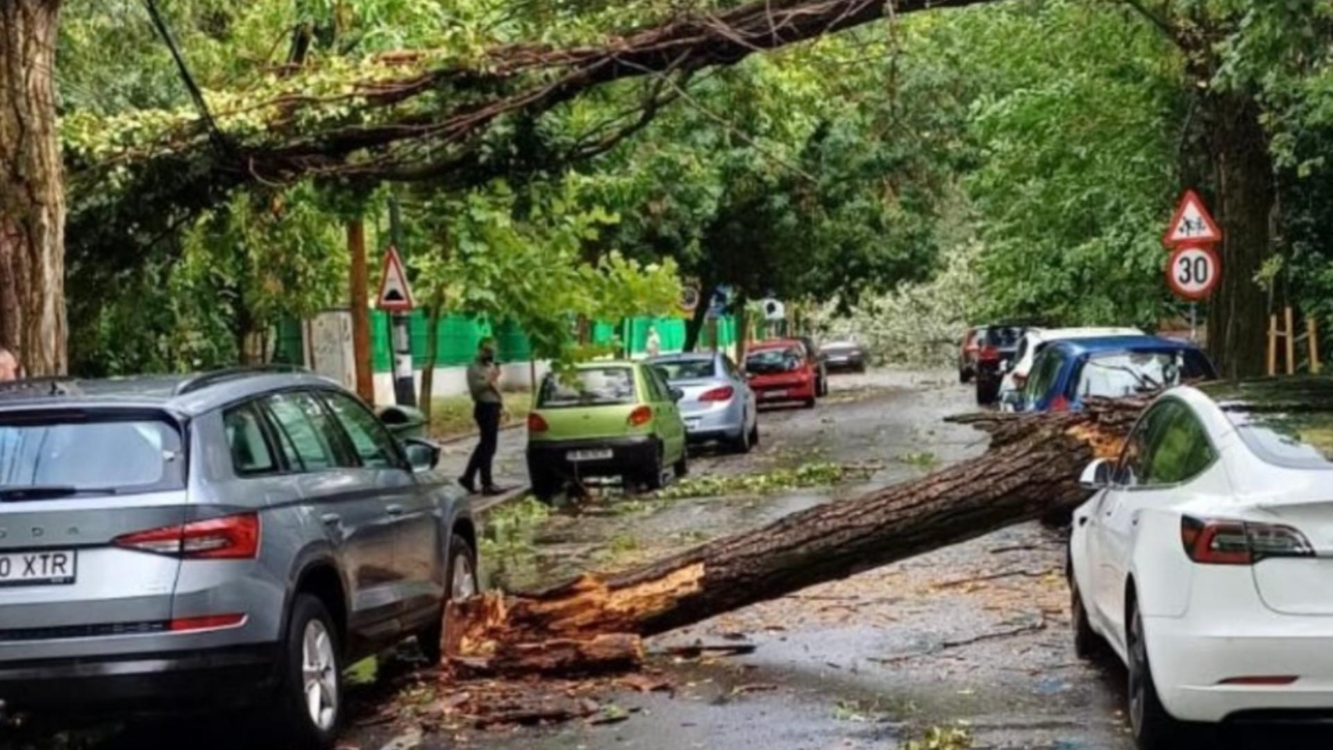 Avertisment terifiant de la ANM: Fenomenele extreme, tot mai frecvente! Furtunile violente devin tipare de vreme normală
