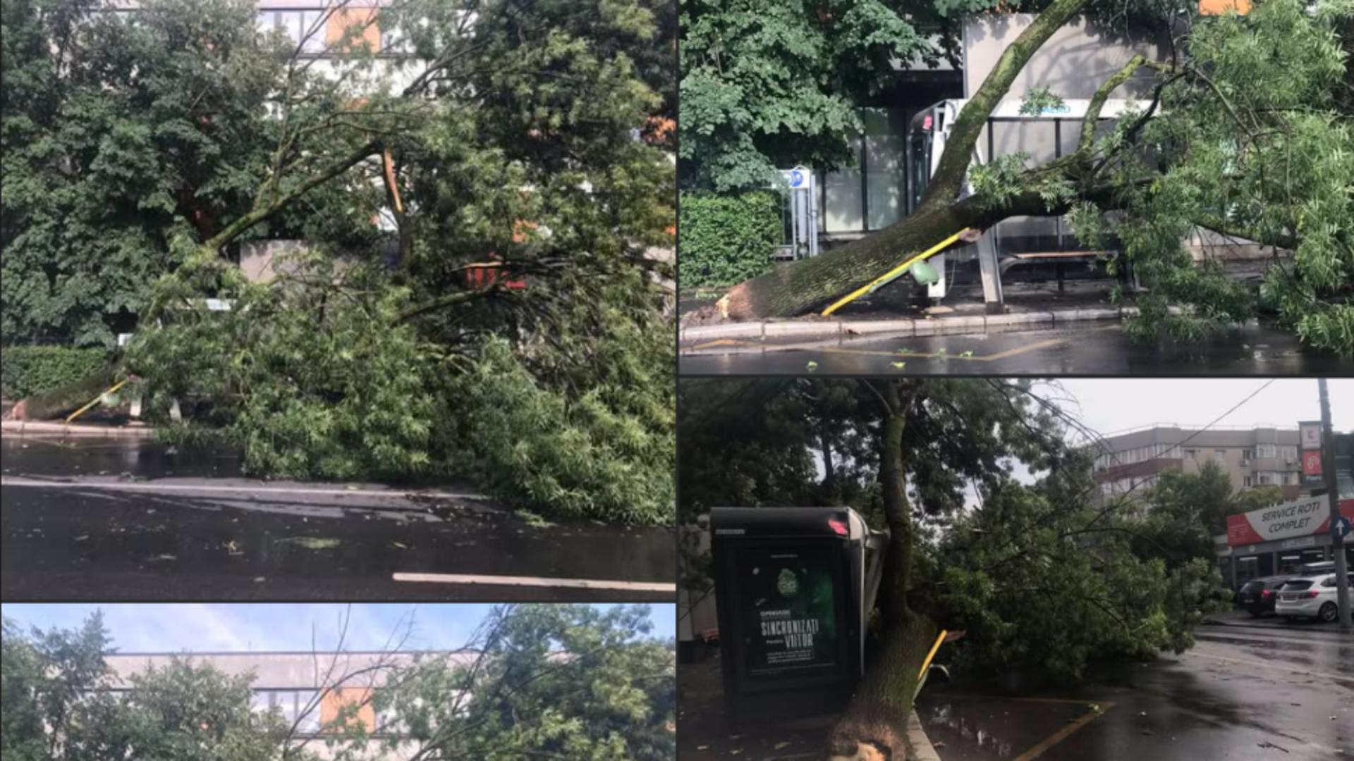 Furtuna a făcut prăpăd în zona Aviatorilor (Grupul civiv Aviatorilor - FB)