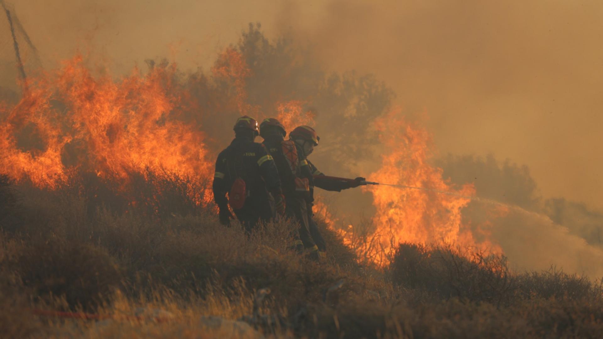 Foto/Arhivă/Profimedia