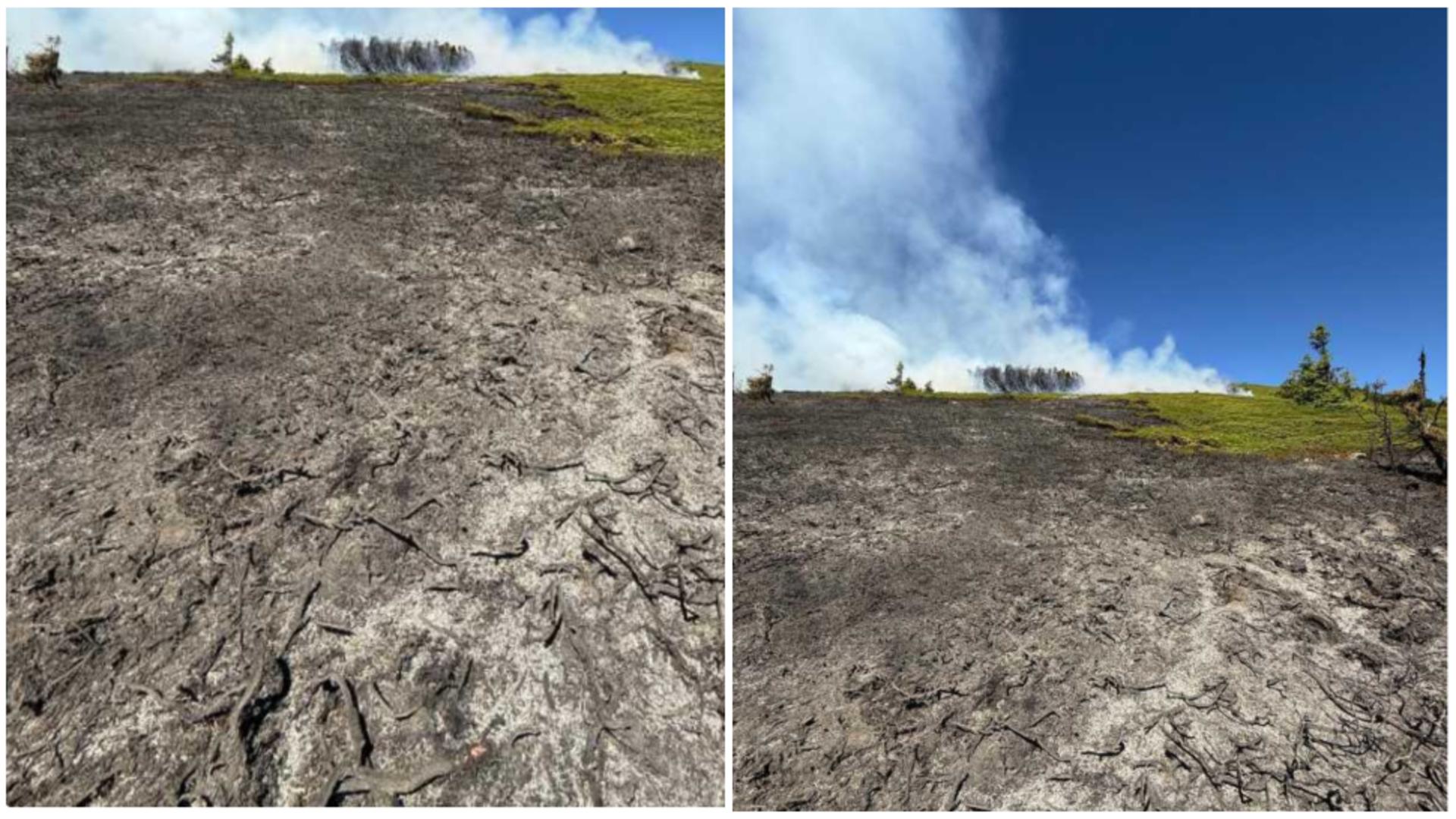 Incendiu puternic într-o pădure din Vâlcea! FOTO: ISU 