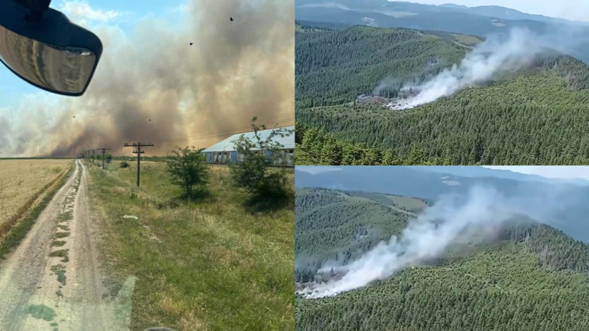 Incendiile de vegetație fac prăpăd în județul Buzău. FOTO: Captura Facebook