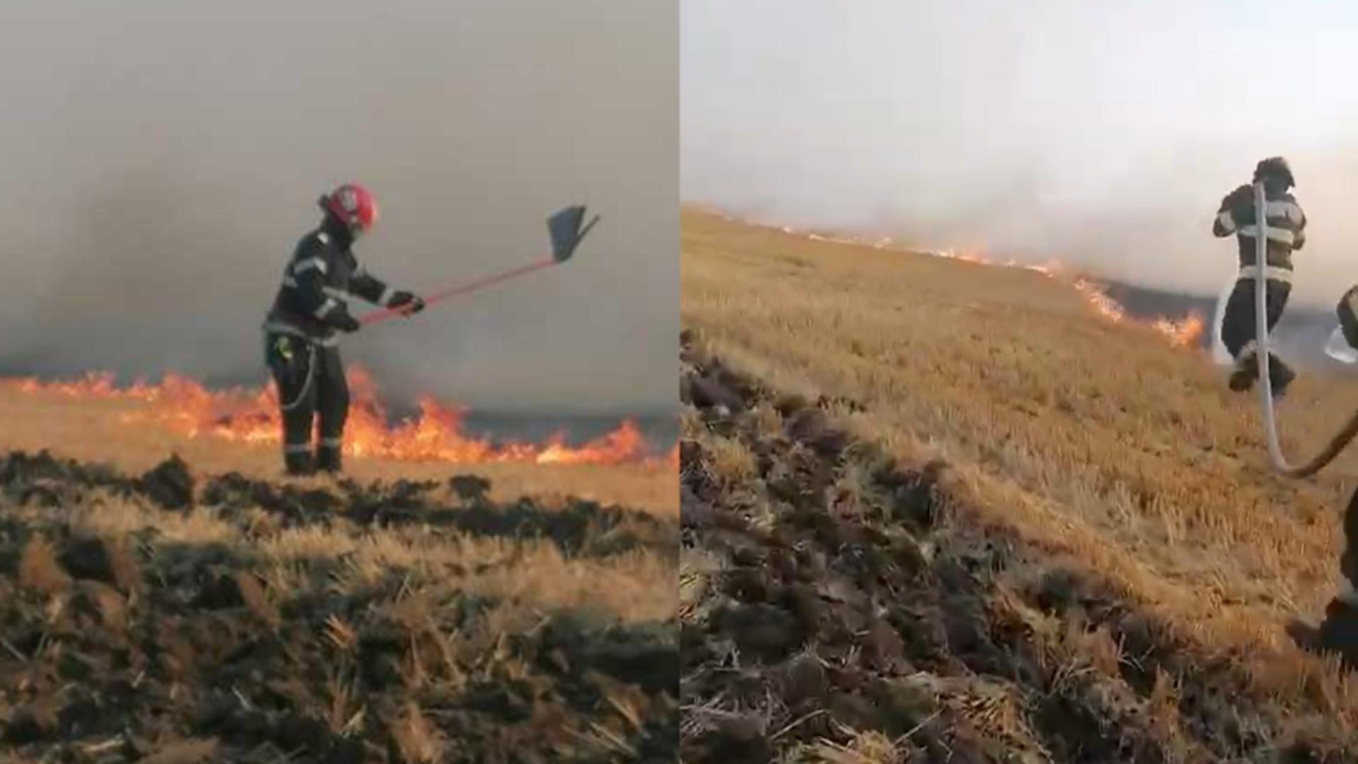 Incendiu masiv la periferia municipiului Tulcea. FOTO: ISU Delta