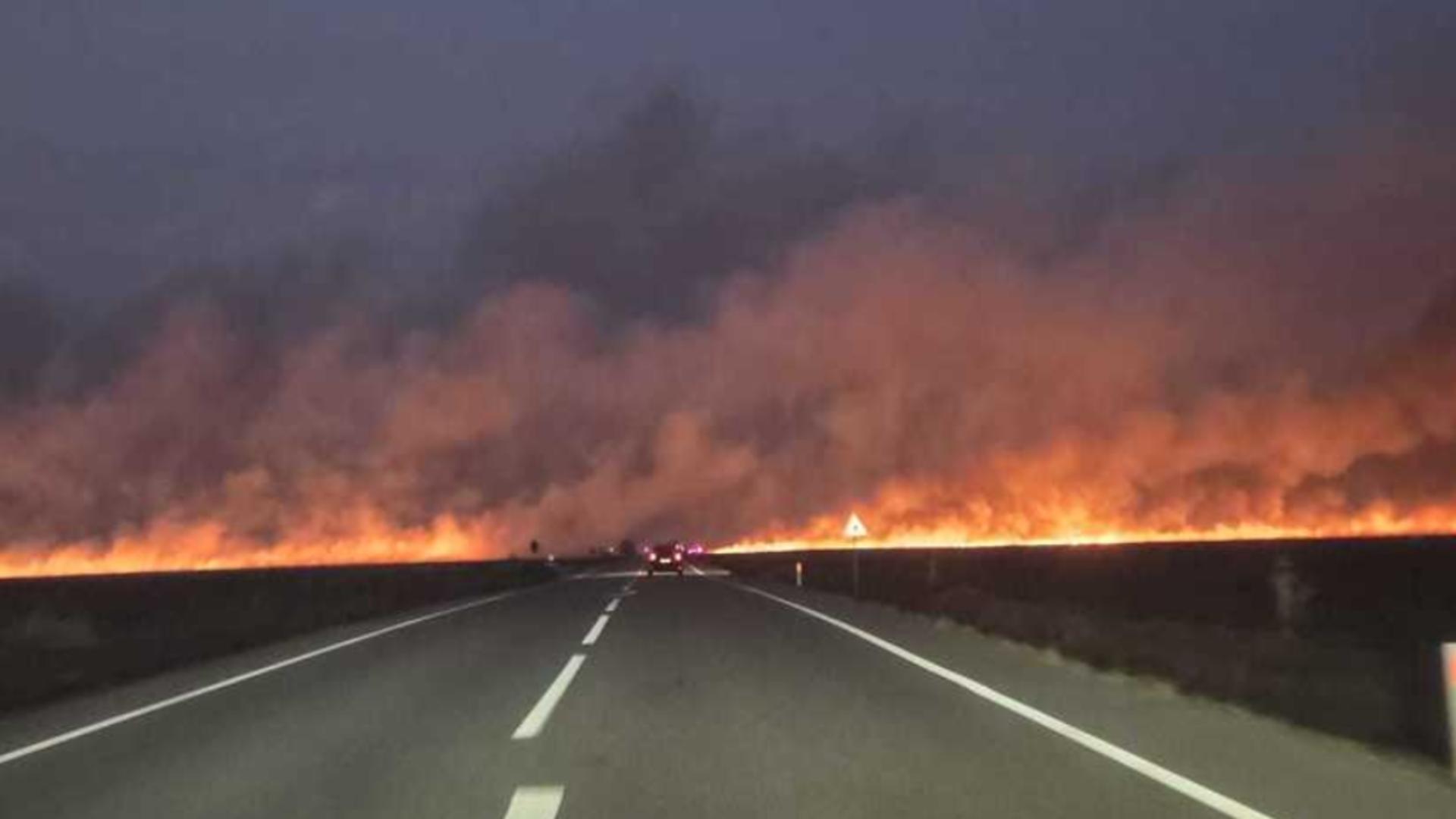 Incendiu puternic de vegetație uscată în Dolj. FOTO: news.ro