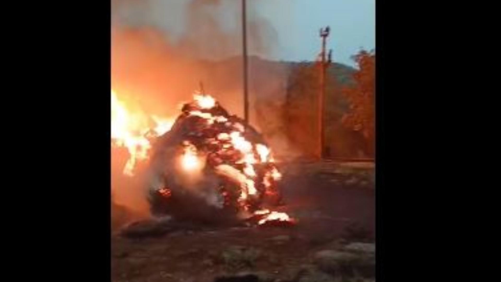 Incendiu de amploare în Mehedinți: mii de baloți de fân distruși și șase oi carbonizate 