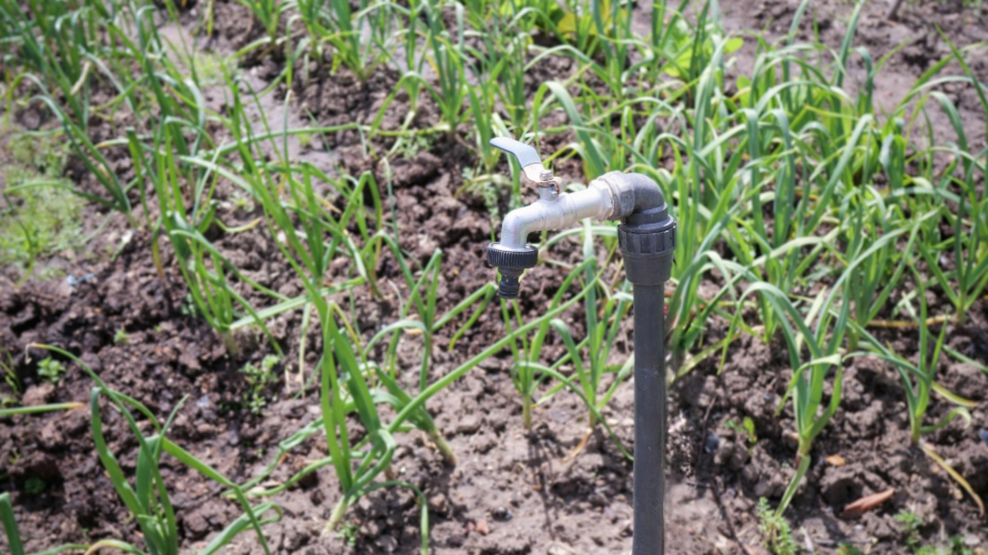 Agricultorii, supăraţi pe minister. Nu vor mai putea să folosească gratuit sistemele de irigaţii. Foto/Profimedia