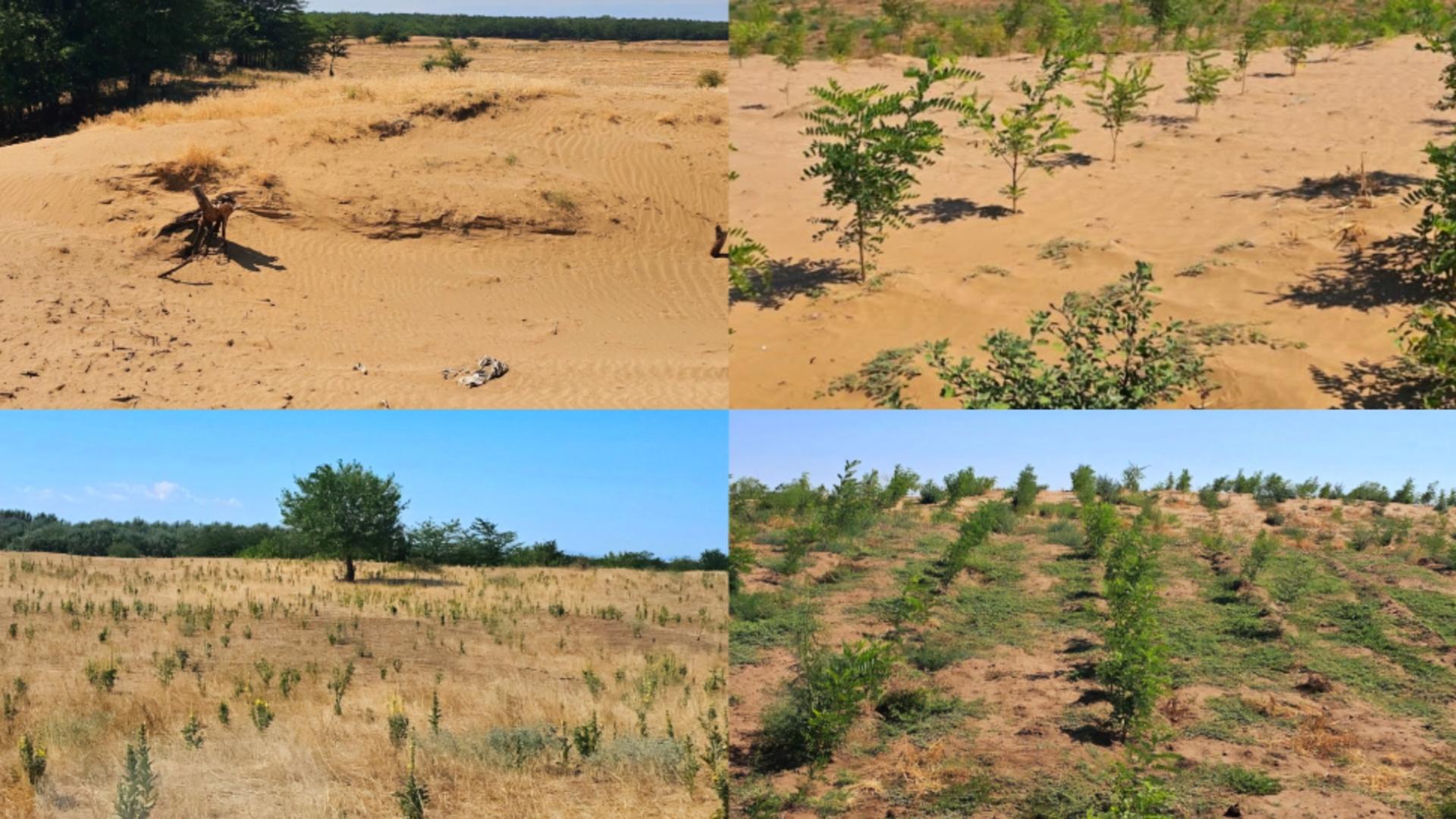 Ministrul Mediului, semnal de alarmă