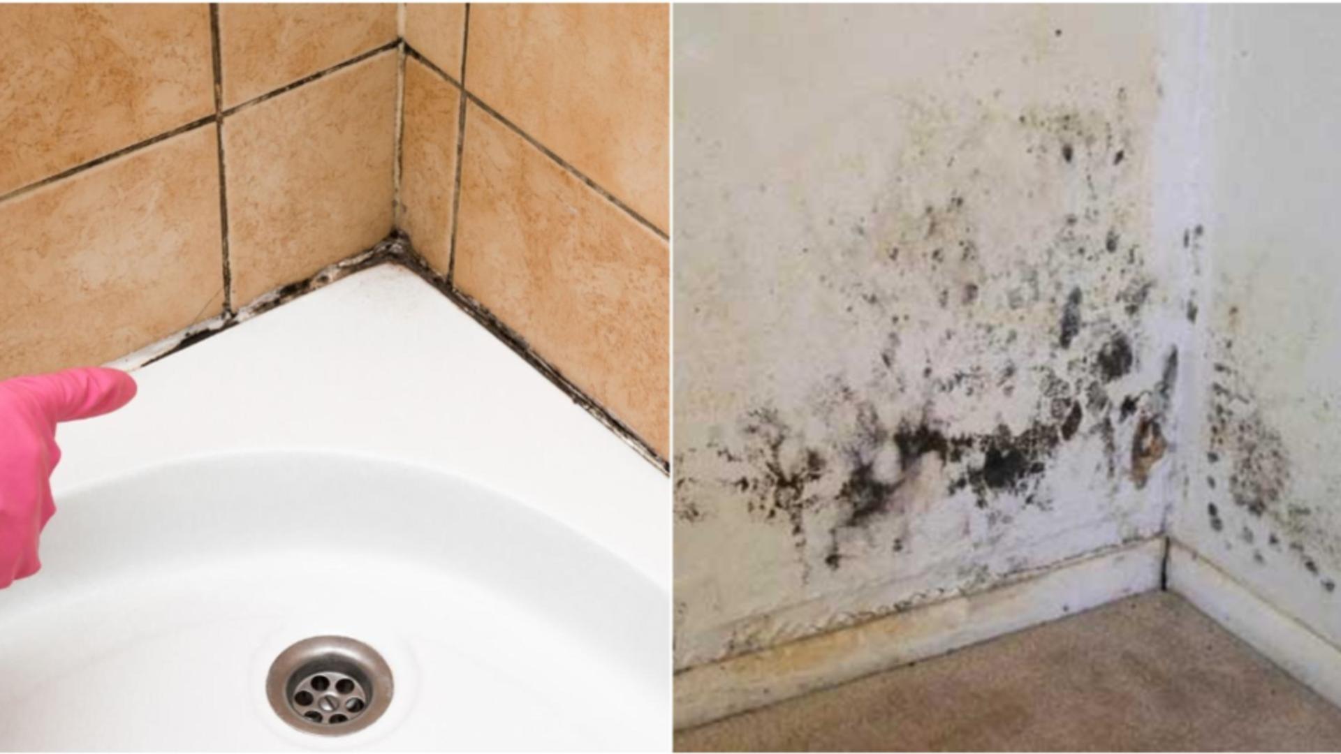 Cum scapi de mucegaiul din baie