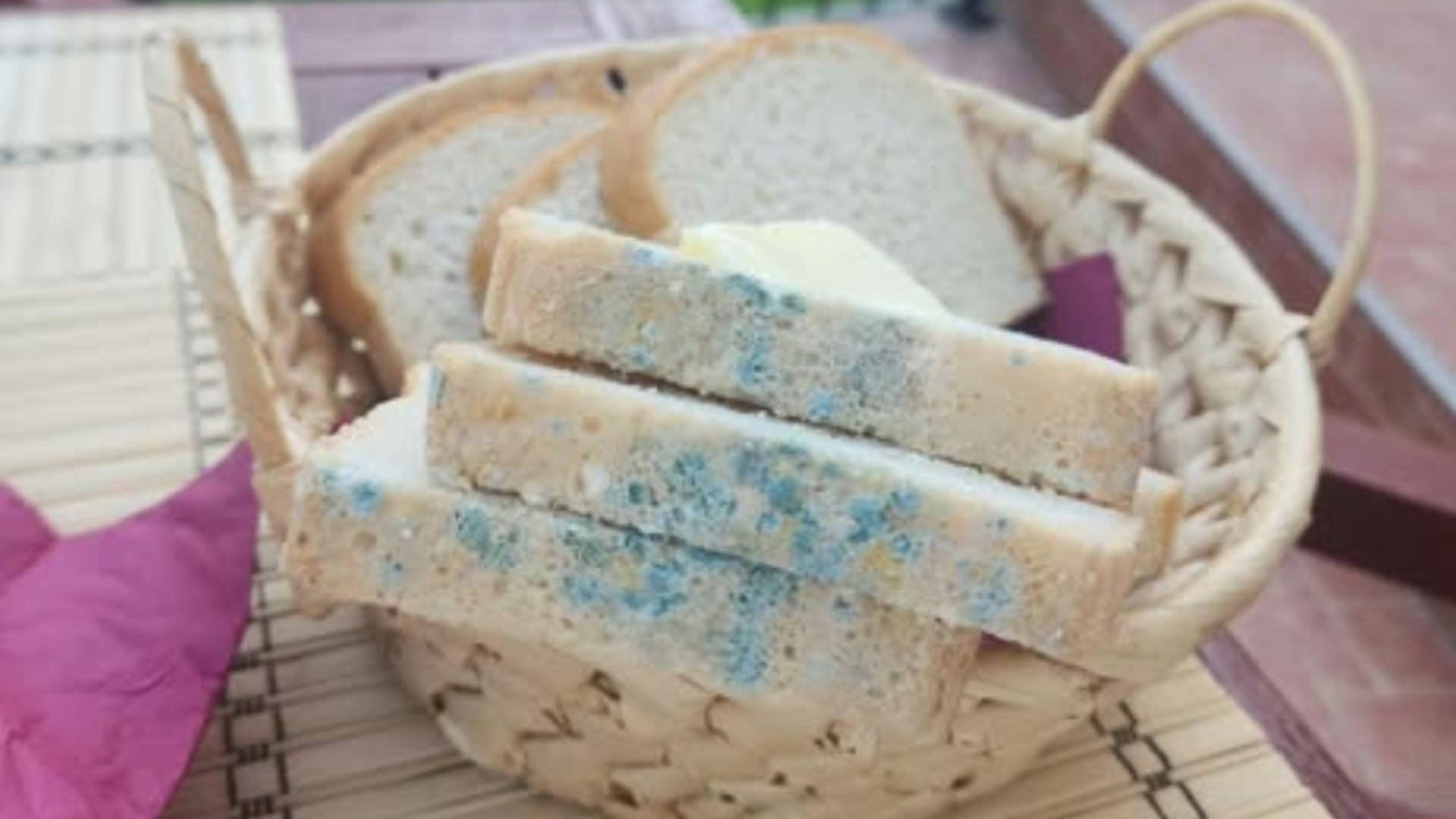 Pâine cu mucegai, ultima „fiță” din Mamaia! FOTO: Facebook