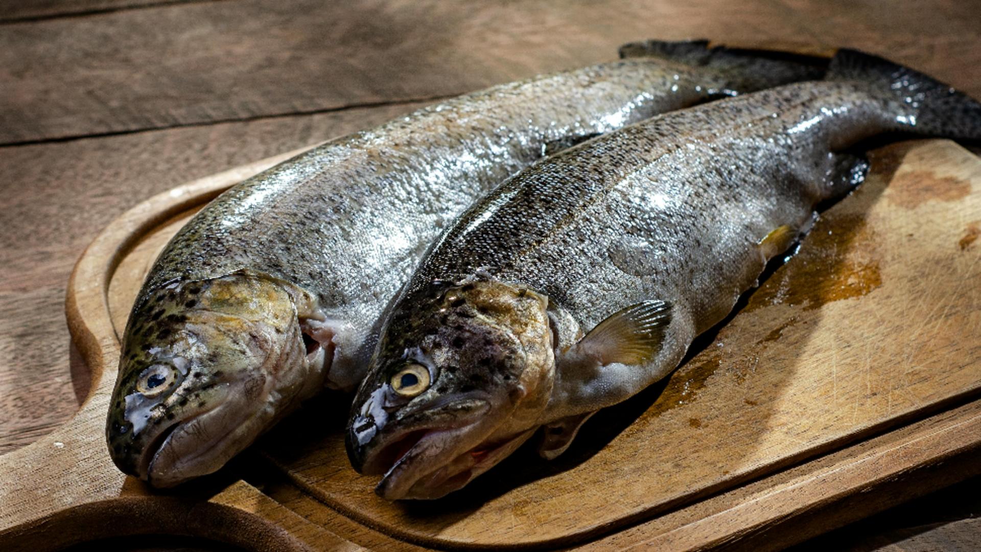 Care este cel mai bun și sănătos pește românesc? De ce trebuie să-l consumi cât mai des. Beneficiile pe care le are pentru sănătate