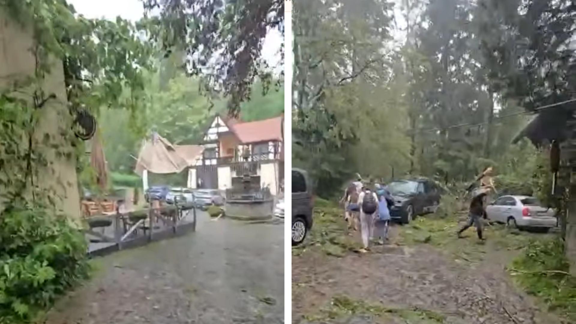Urmările furtunii în zona Palatului Peleș (captură video)
