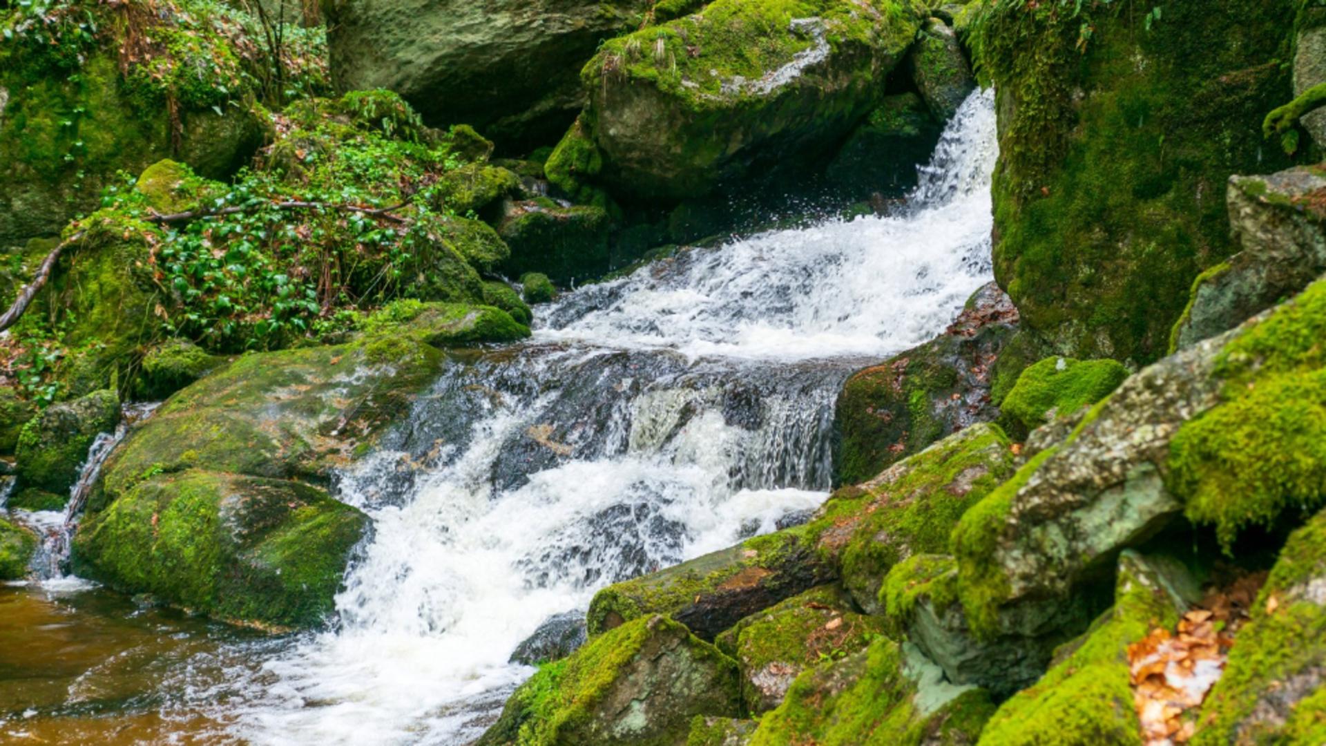 Austria este renumită pentru izvoarele sale alpine (Pfofimedia)