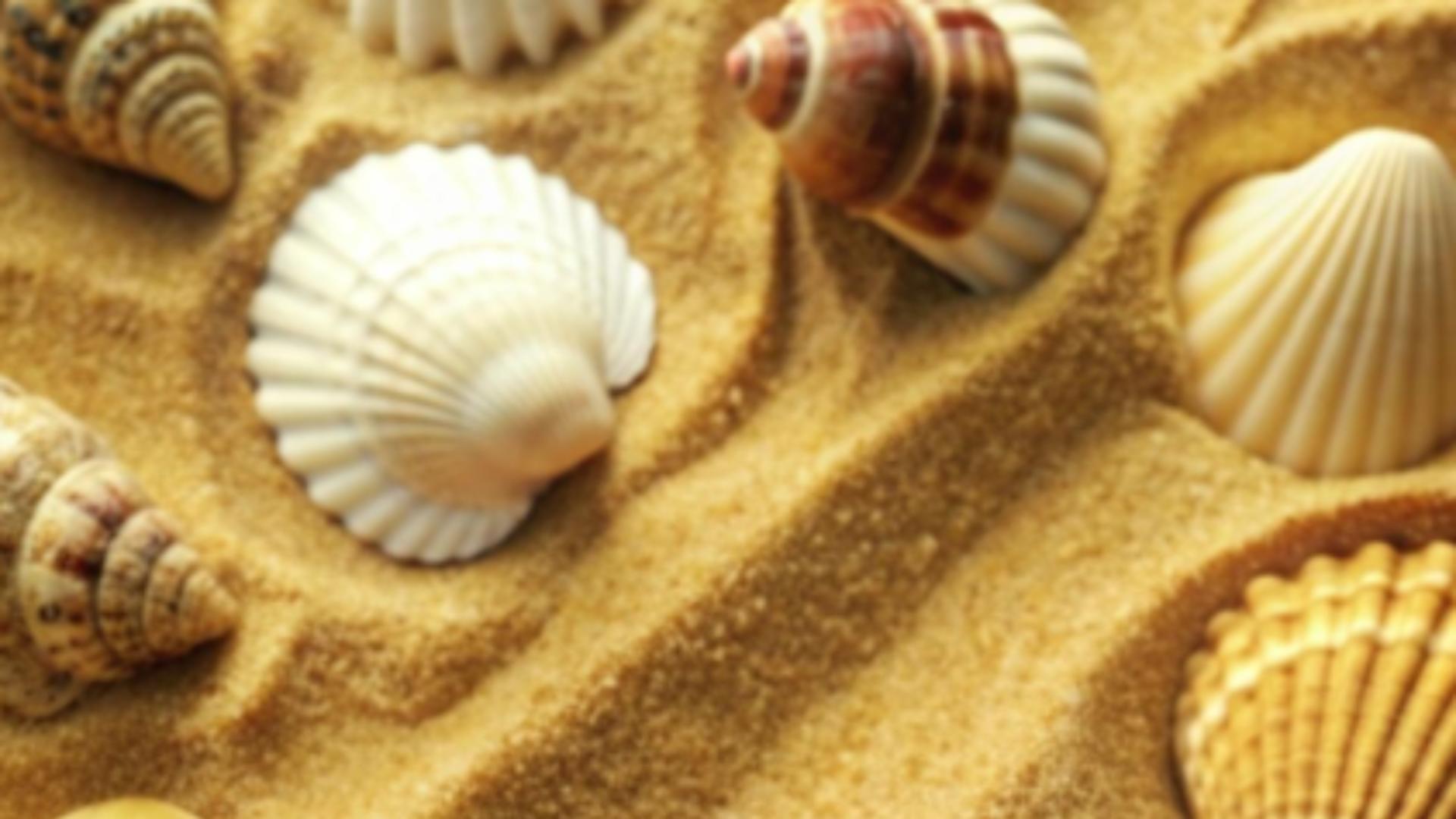 O insulă din Europa apreciată de turiștii români interzice ridicarea scoicilor