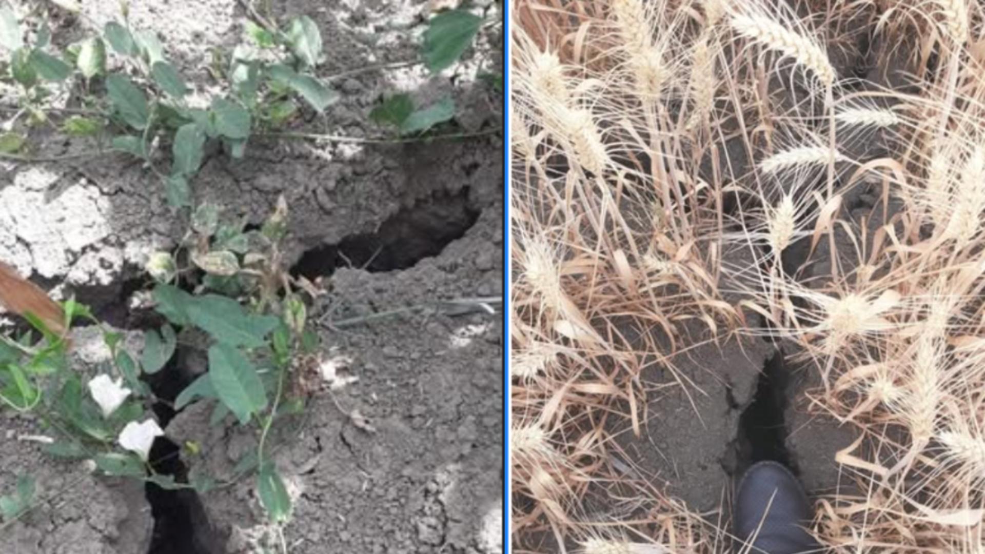 Tot mai multe țări europene au probleme din cauza deficitului de apă