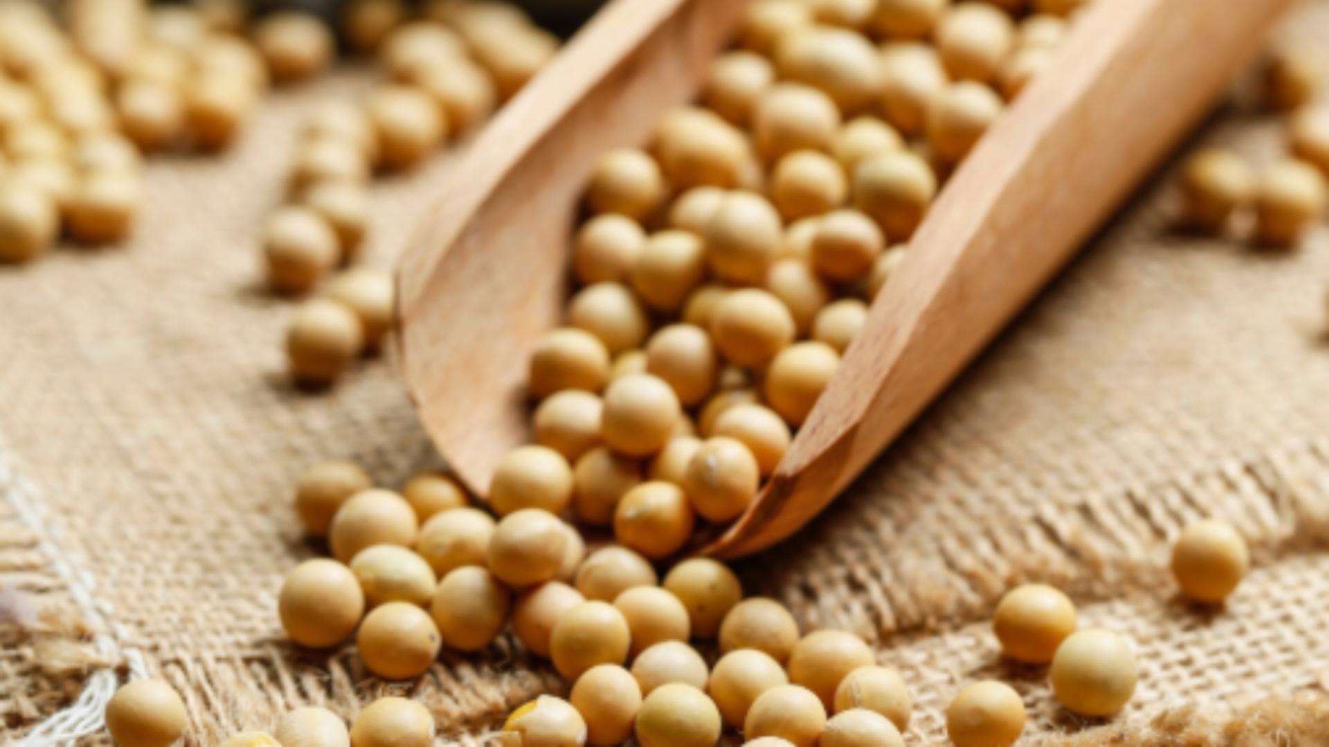 Comisia Europeană a aprobat soia modificată genetic