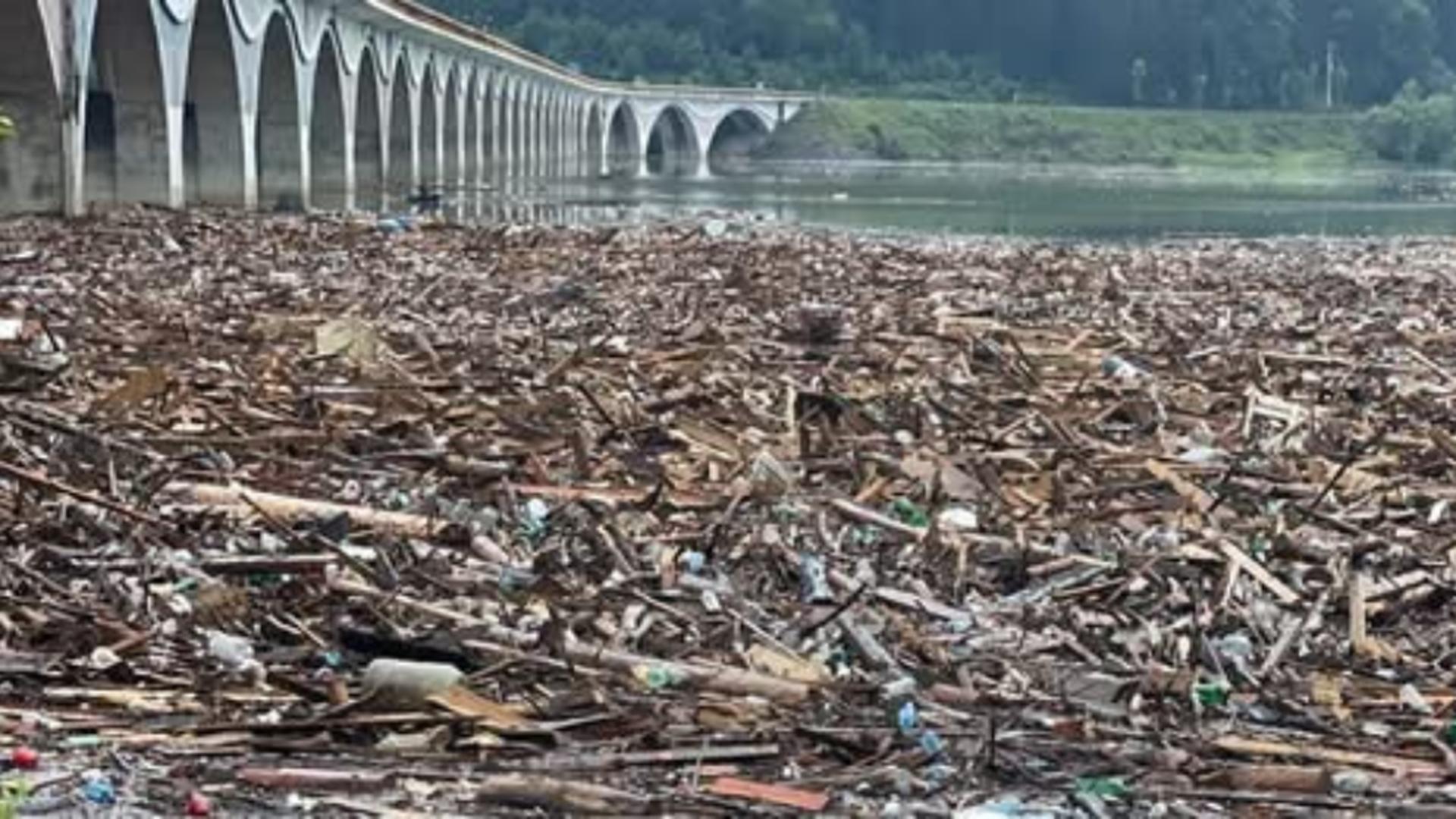 Cantitatea uriașă de lemne, resturi și cadavre contaminează apa