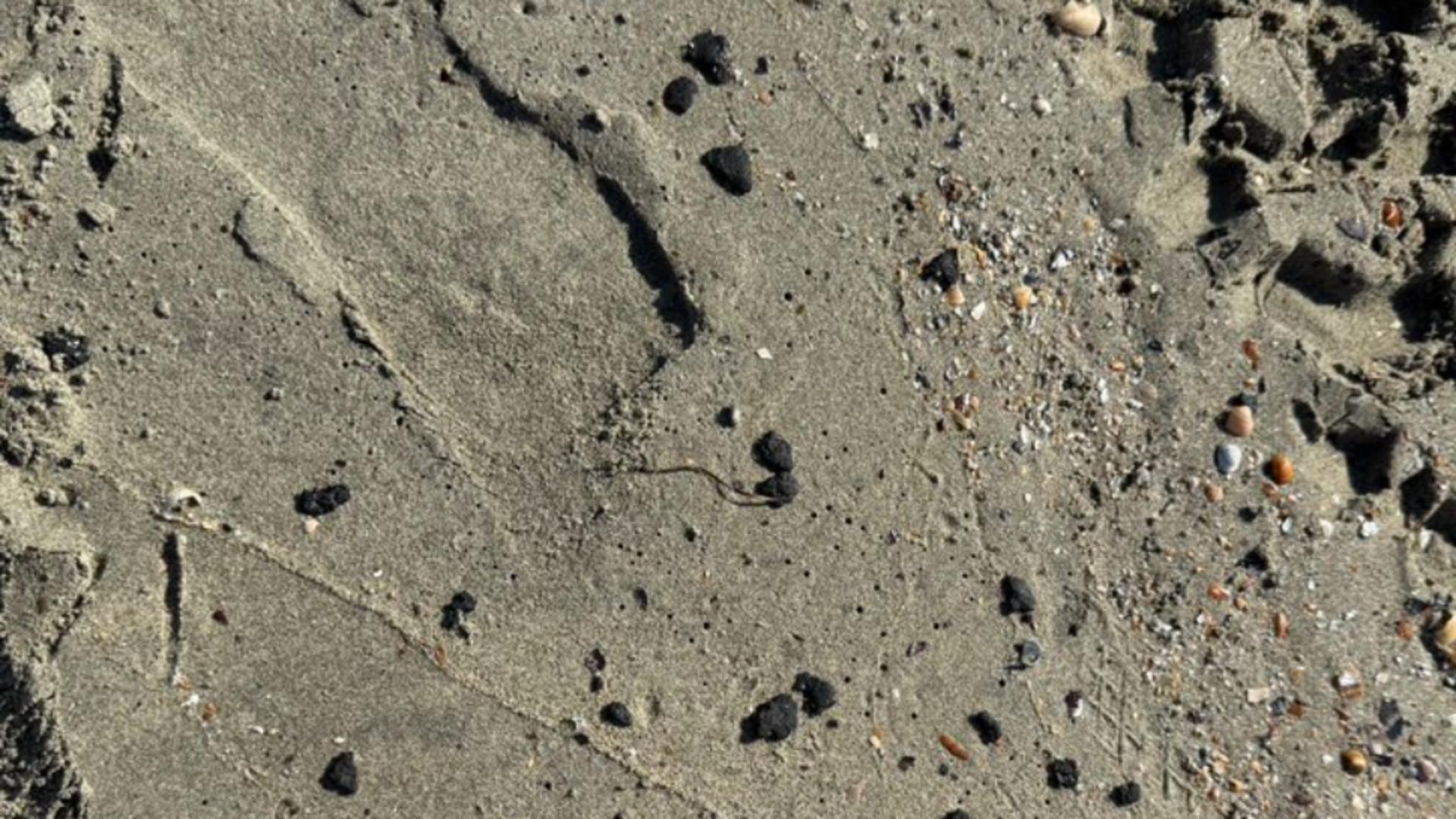 Poluare la malul mării: biluțe de petrol pe mai multe plaje. Turiștii se plâng pe rețelele sociale