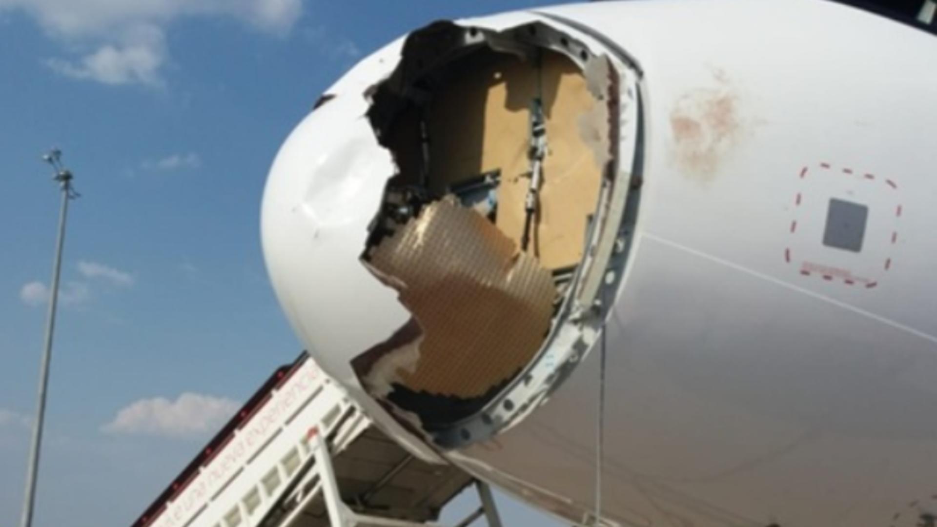 O aeronavă care efectua un zbor Madrid-Paris s-a întors din drum după o coliziune cu un vultur: imagini șocante 