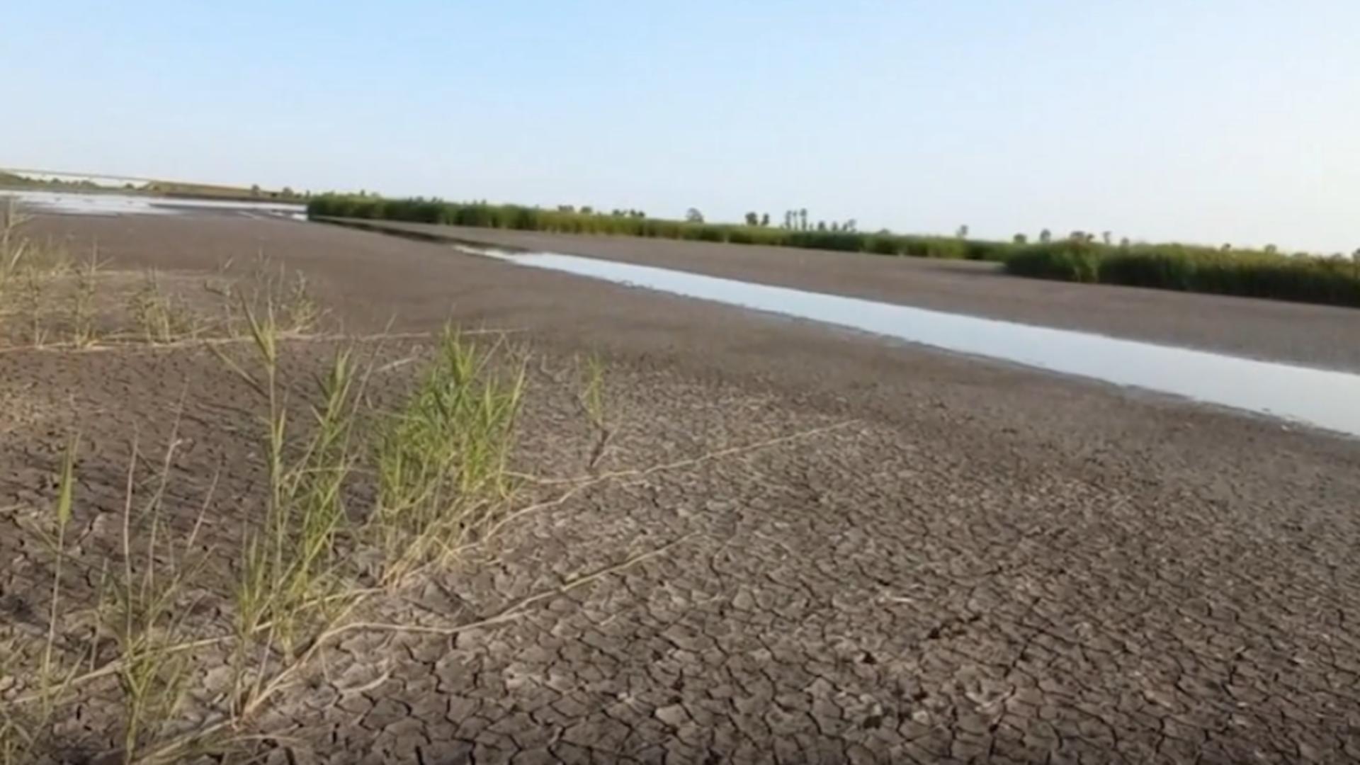 Catastrofă ecologică în Satu Mare: un lac protejat rămâne fără APĂ/ Captură video