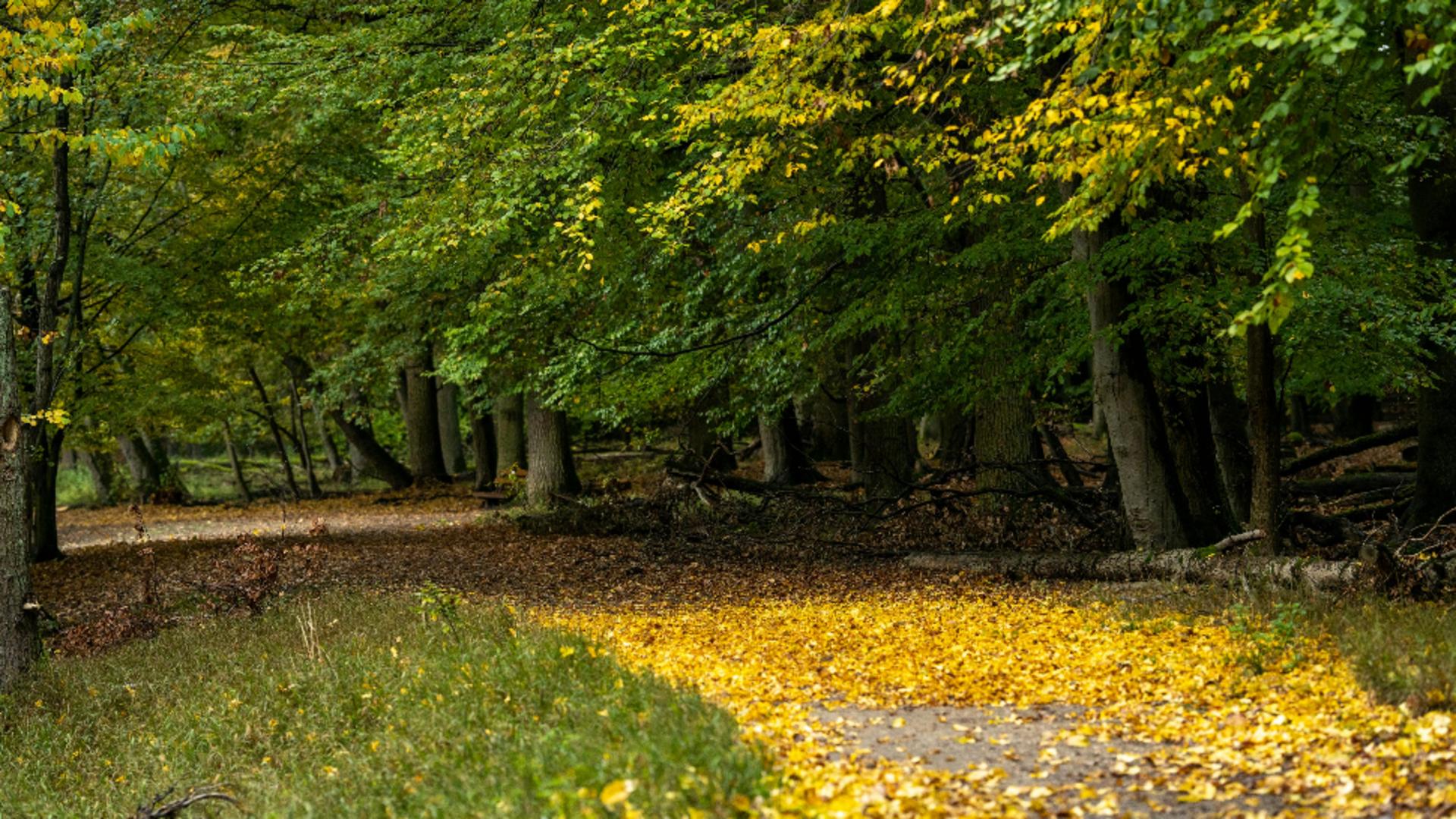 Au apărut alte două anotimpuri. Ce arată noile studii! Ce se va întâmpla în viitor?