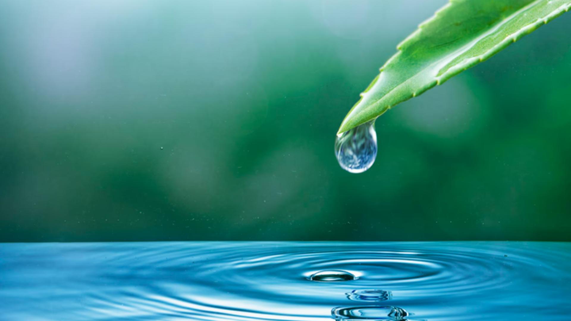 „Apa devine o monedă și va fi tot mai scumpă”. Explicația unui oficial cu privire la această schimbare dramatică