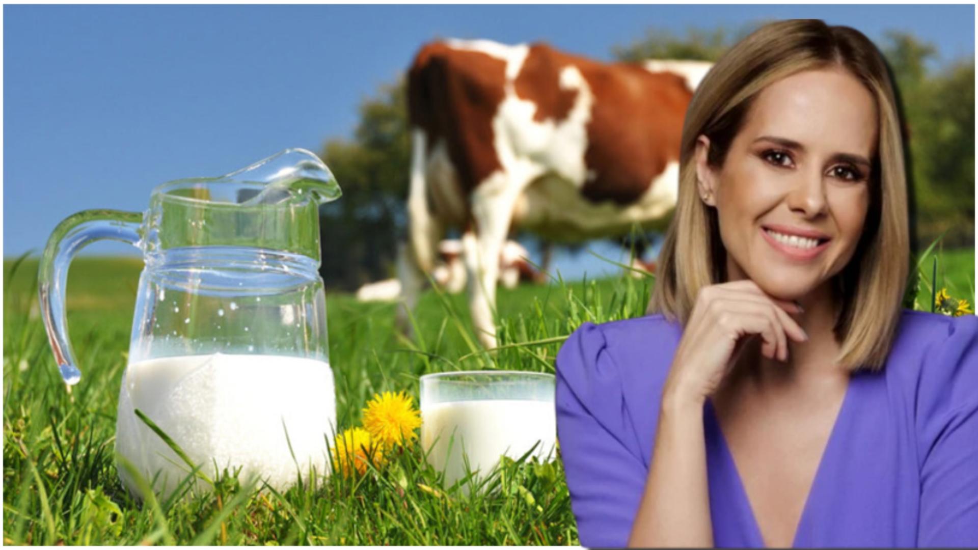 Mihaela Bilic, despre revenirea la laptele de vacă