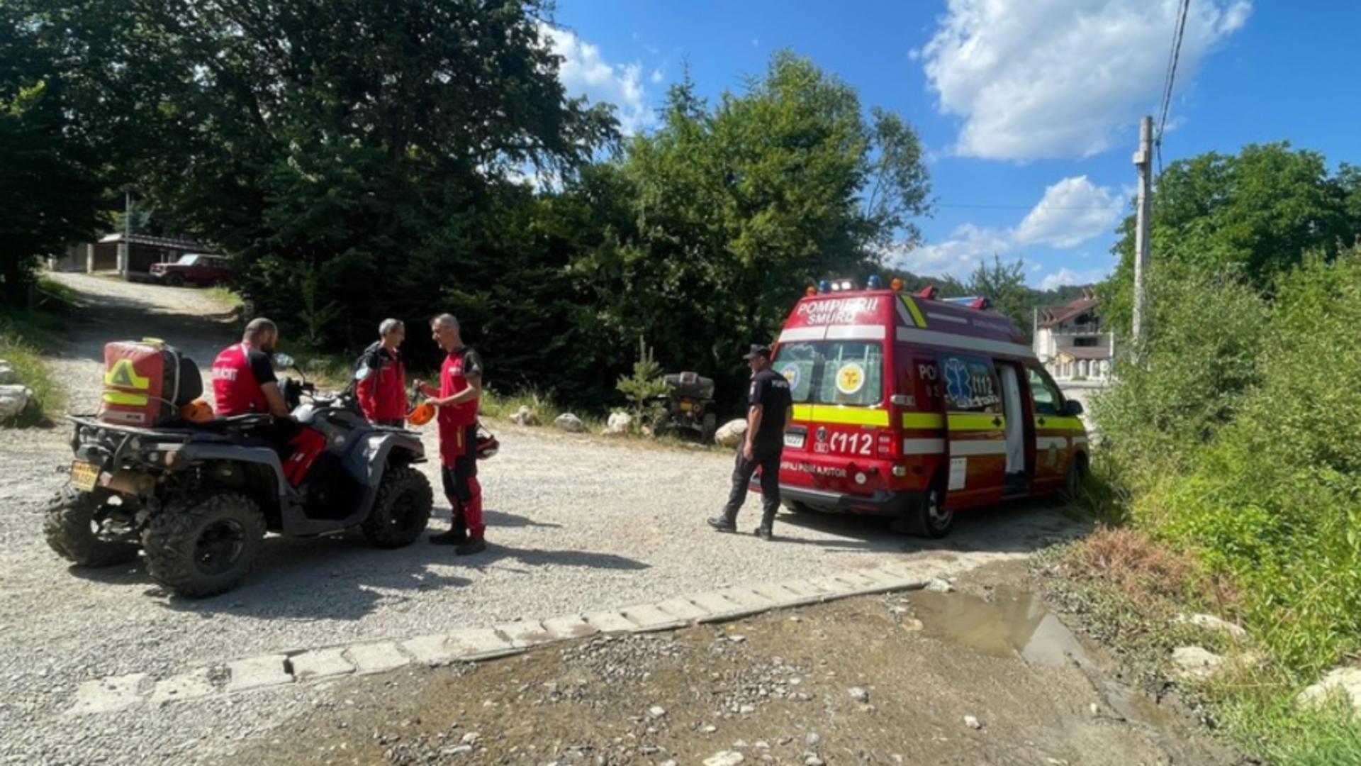 Fetiță muşcată de câini în zona montană din judeţul Braşov