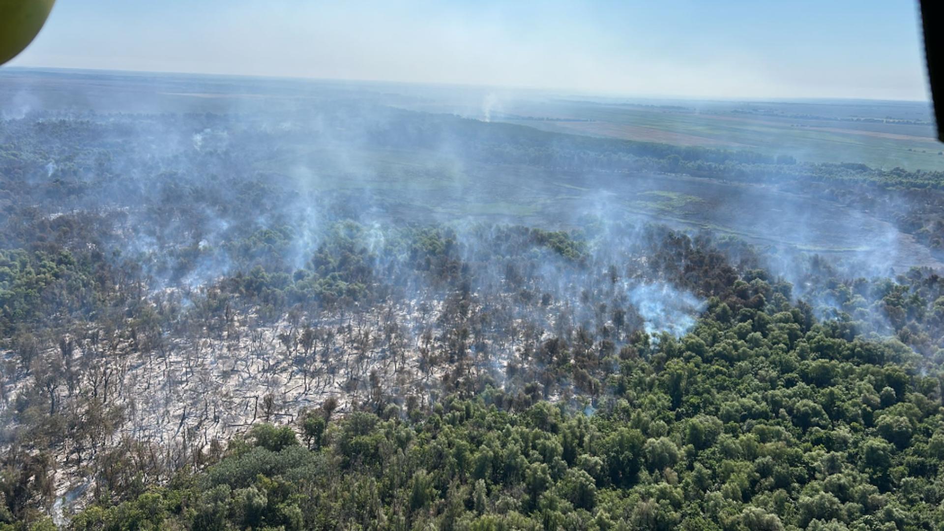 Incendiile au pârjolit deja 70 de hectare de pădure. Foto/ISU