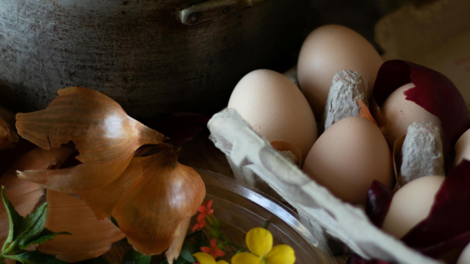 De ce NU trebuie să mai arunci cojile de ouă, de ceapă și de nucă. La ce le foloseau bunicii noștri?