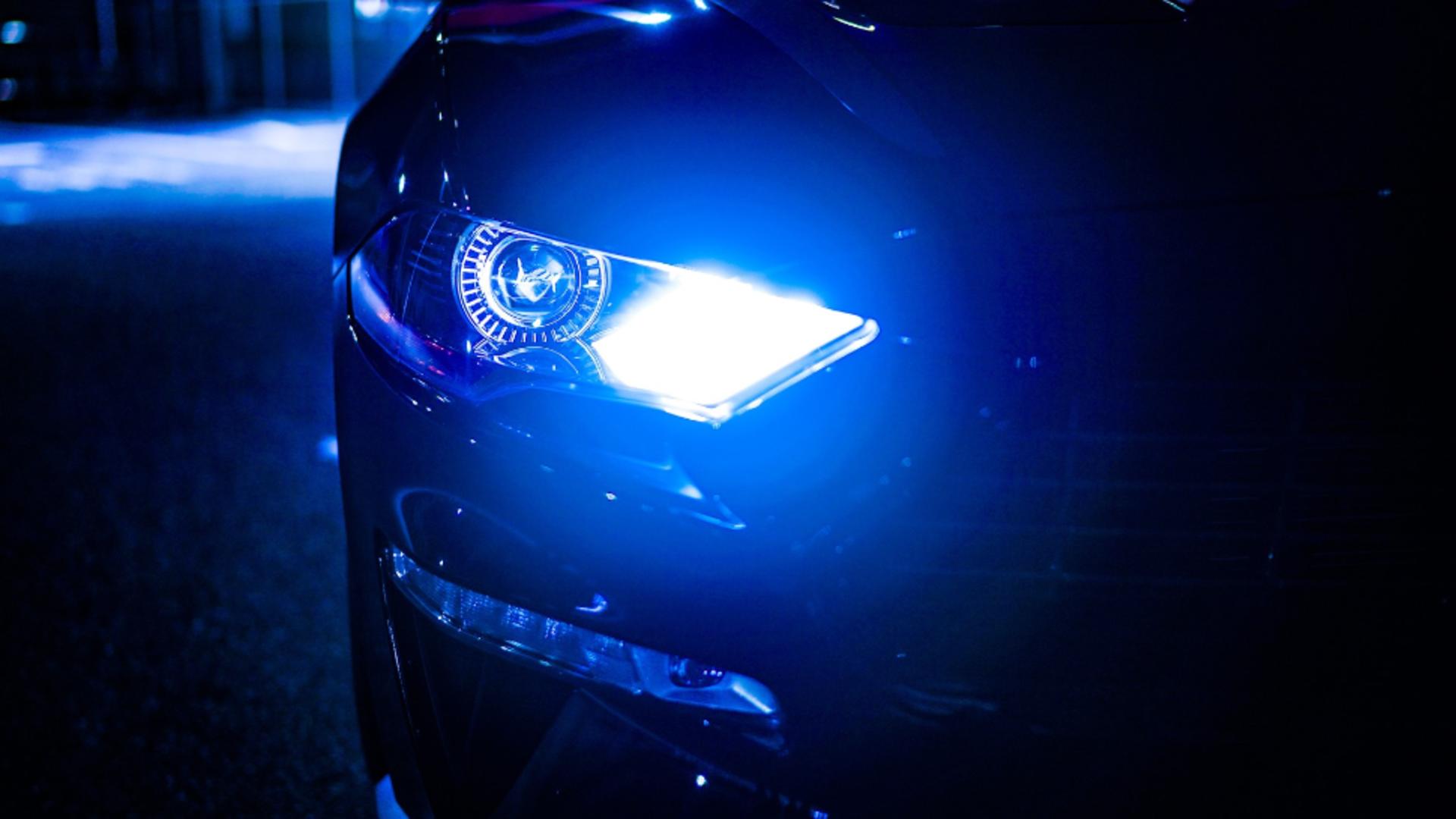 Foto/Arhivă/Profimedia