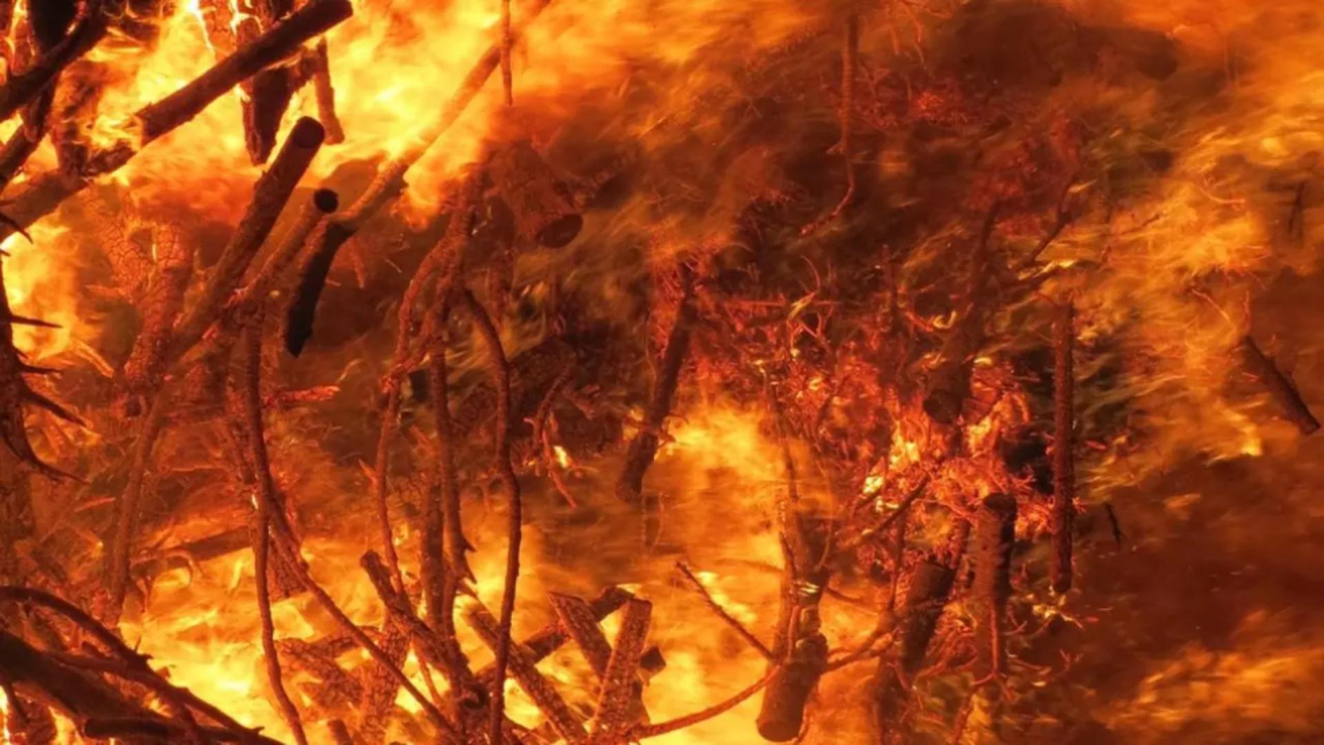 MAE a emis o atenționare de călătorie pentru a destinație turistică populară printre români. Peste 30 de focare de incendii de vegetație