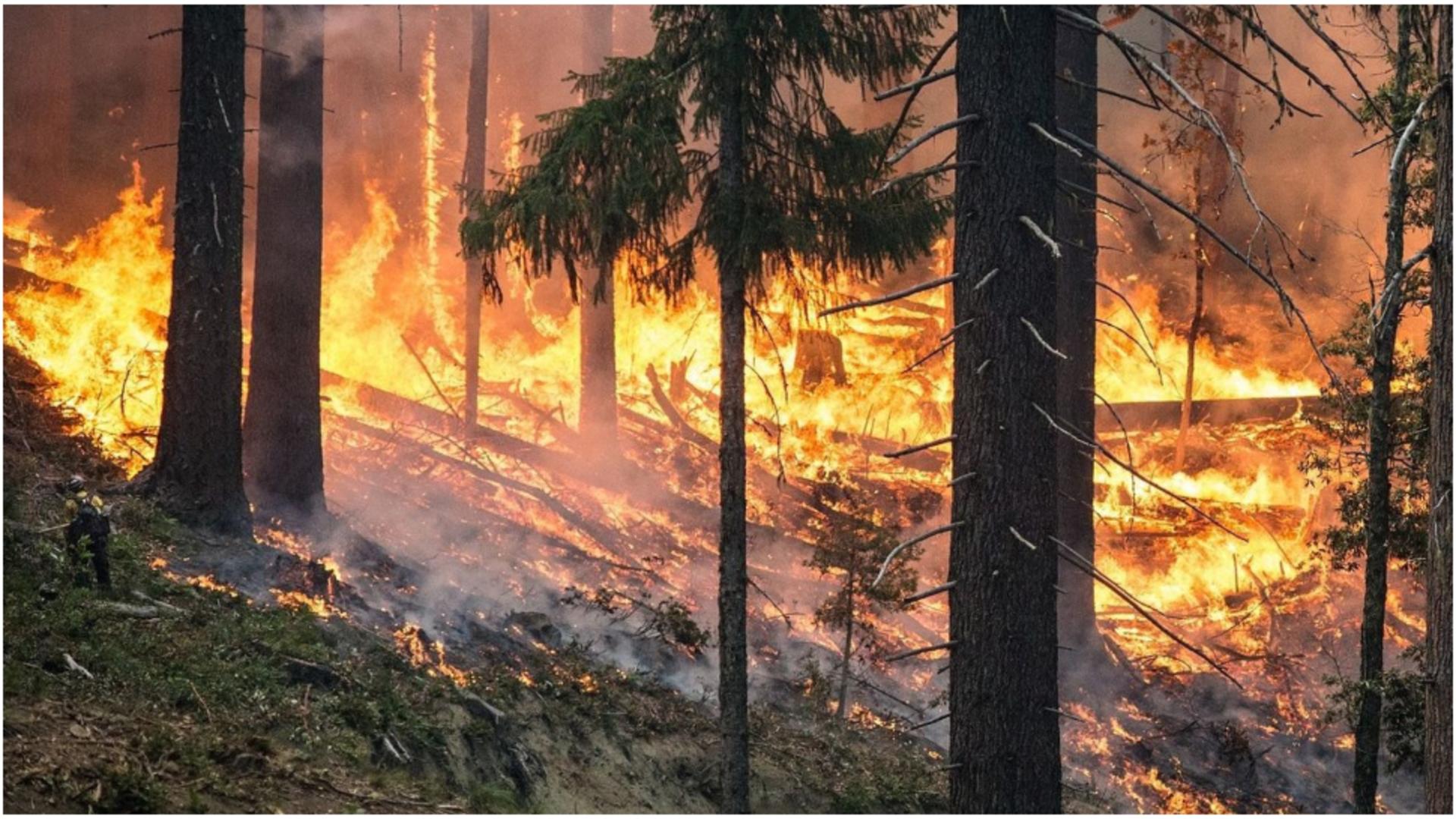 MAE, atenționare de călătorie pentru Franța! 