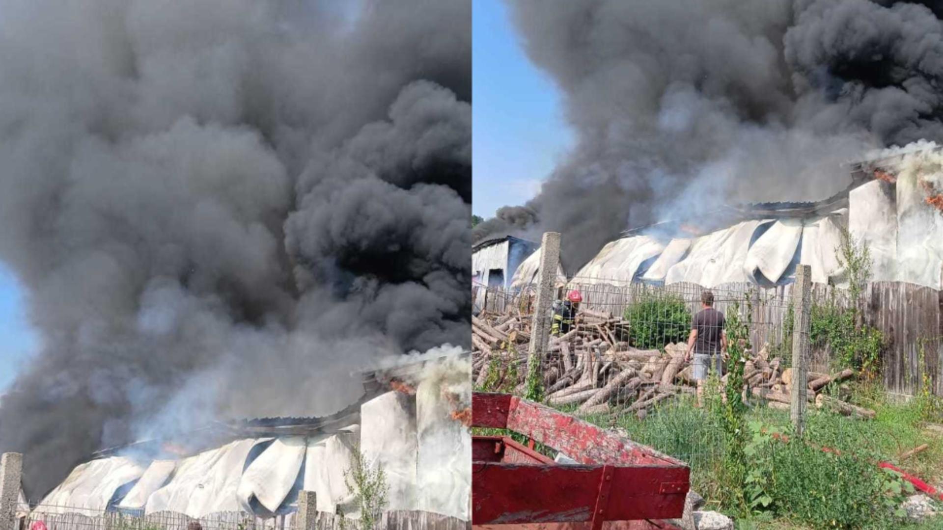 Incendiu de proporți la un service auto din județul Brașov! FOTO: ISU Brașov