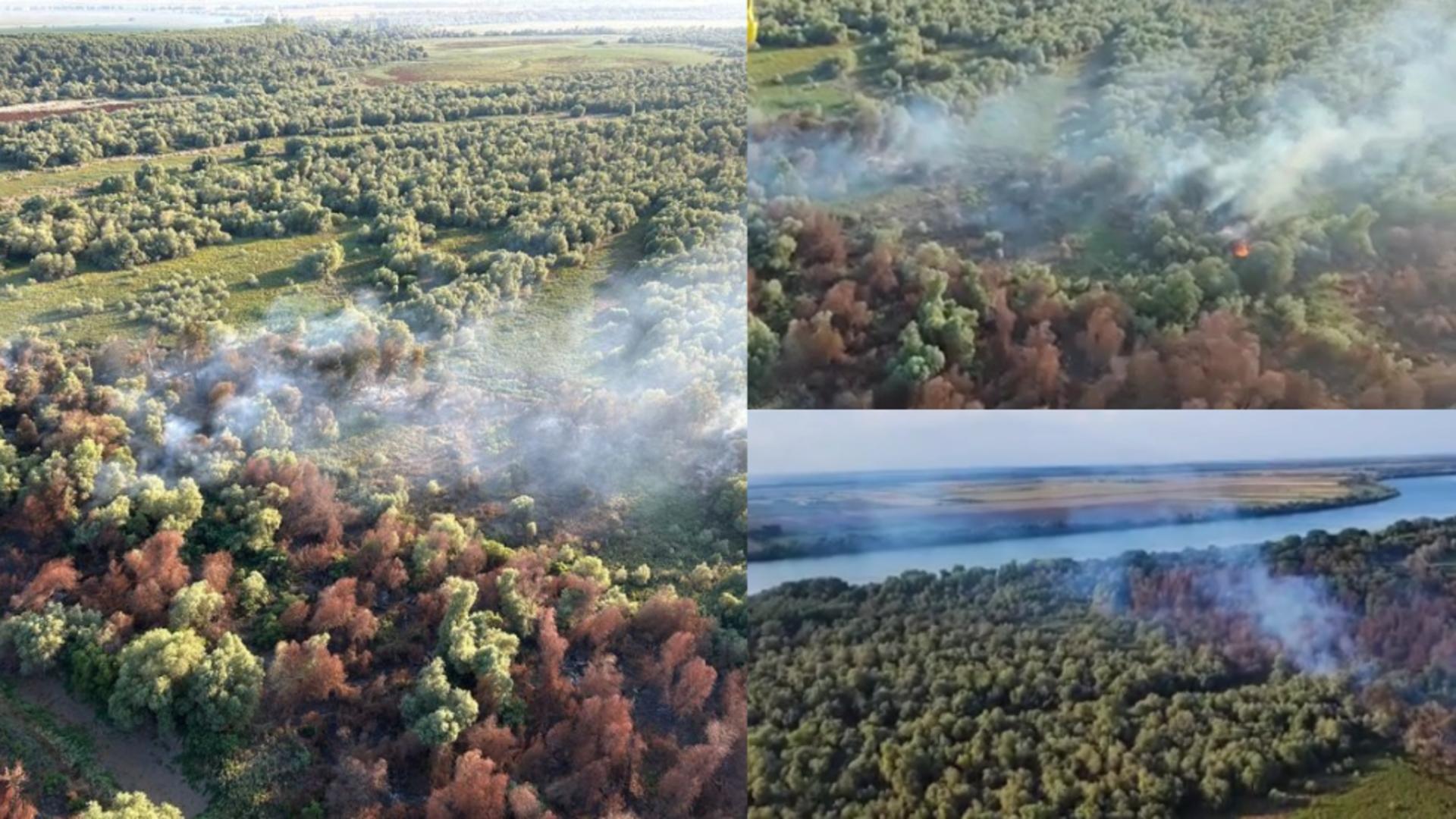 Incendiu masiv de vegetaţie uscată, stuf şi fond forestier în Tulcea! 