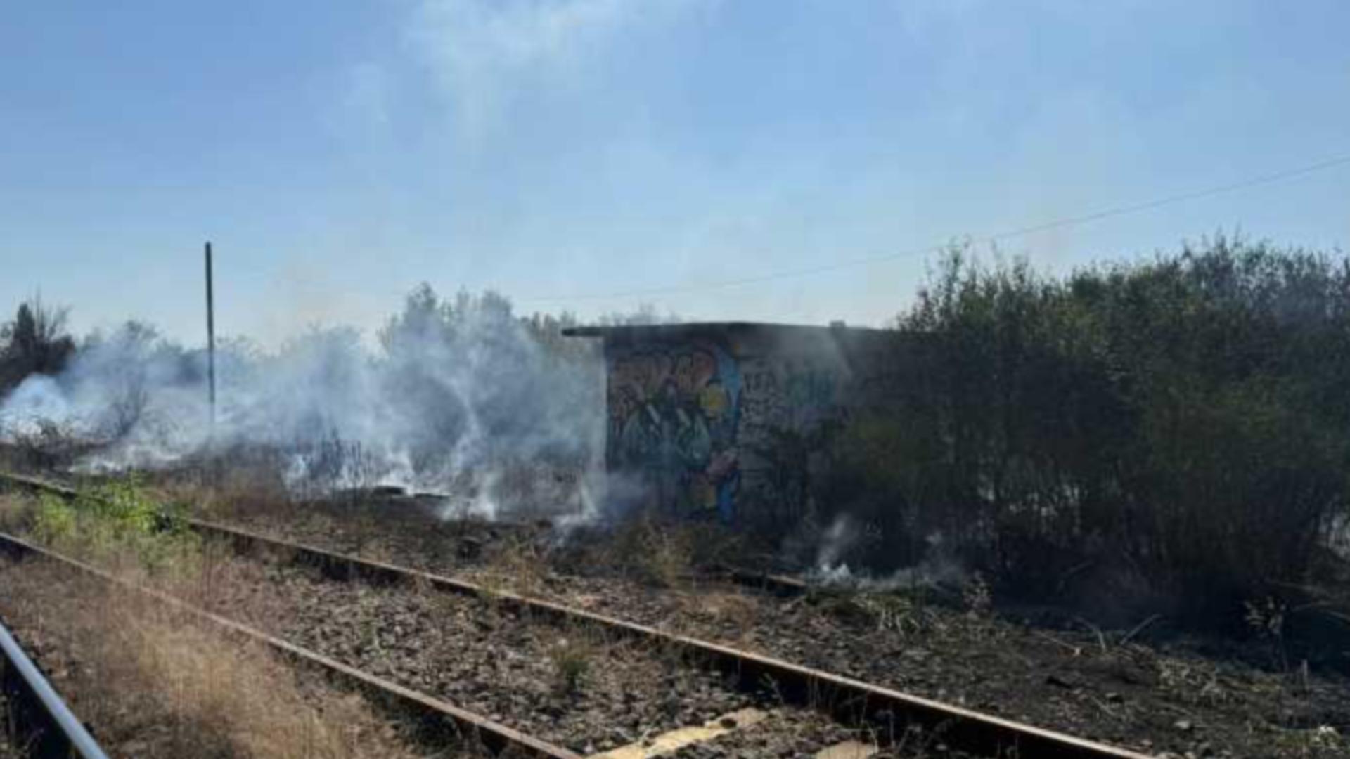 Incendiu de vegetație uscată în Timiș. FOTO: ISU Timiș 