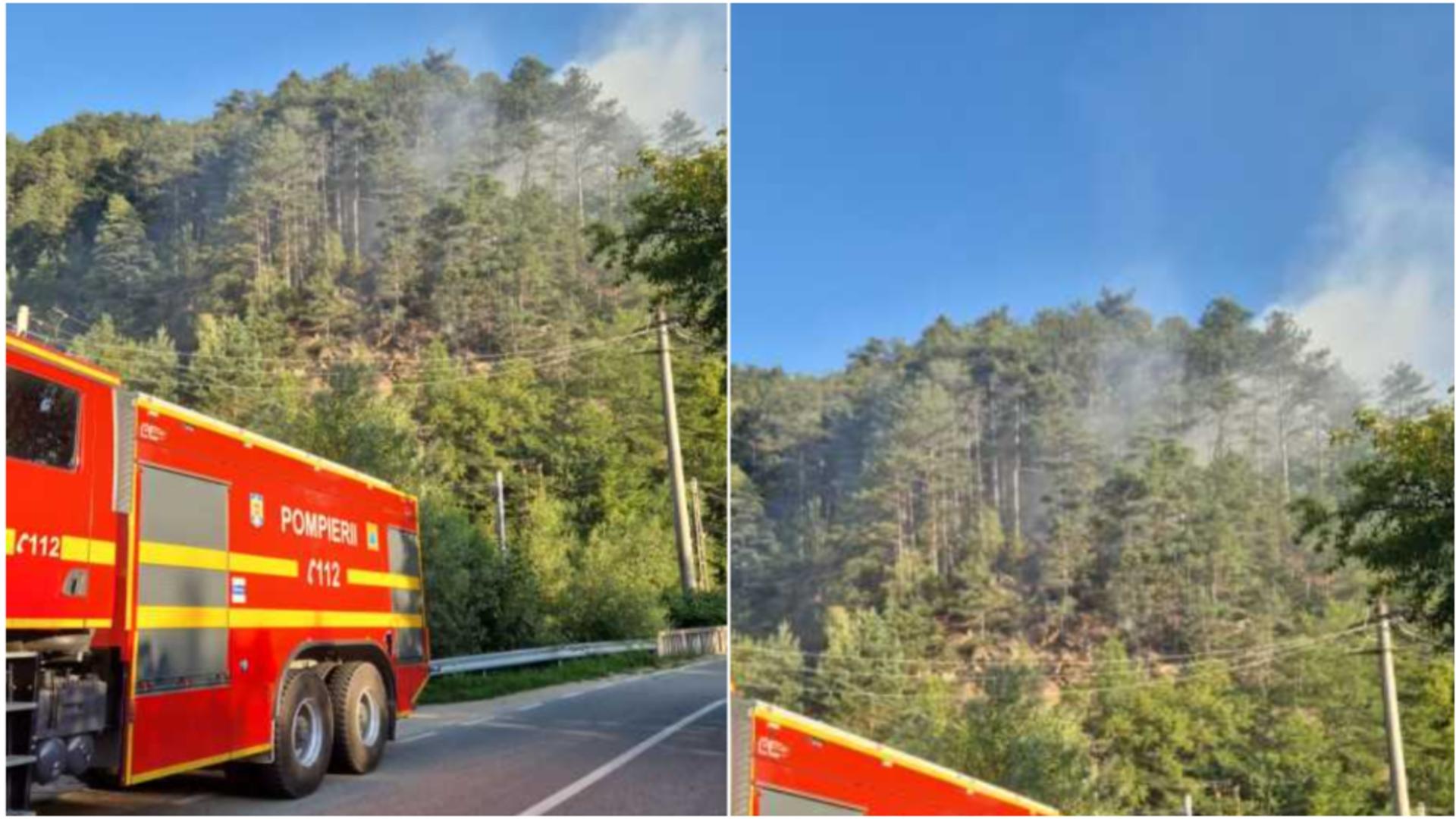 Incendiu de proporții în Caraș-Severin. FOTO: ISU