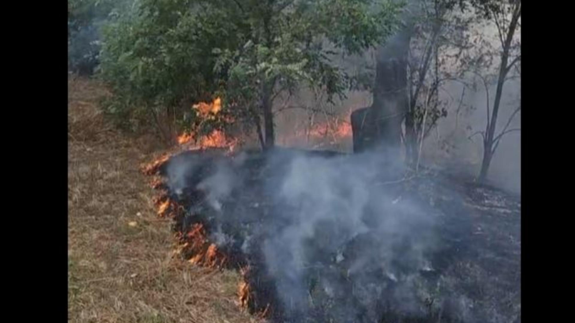 Incendiu Eforie Nord