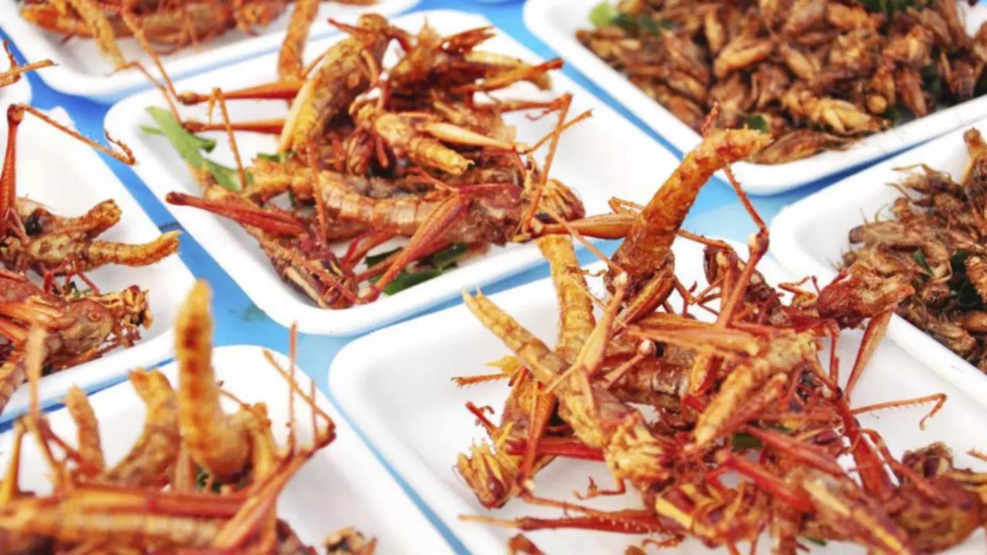 Cum să descoperi dacă produsele de la raft conțin făină de insecte