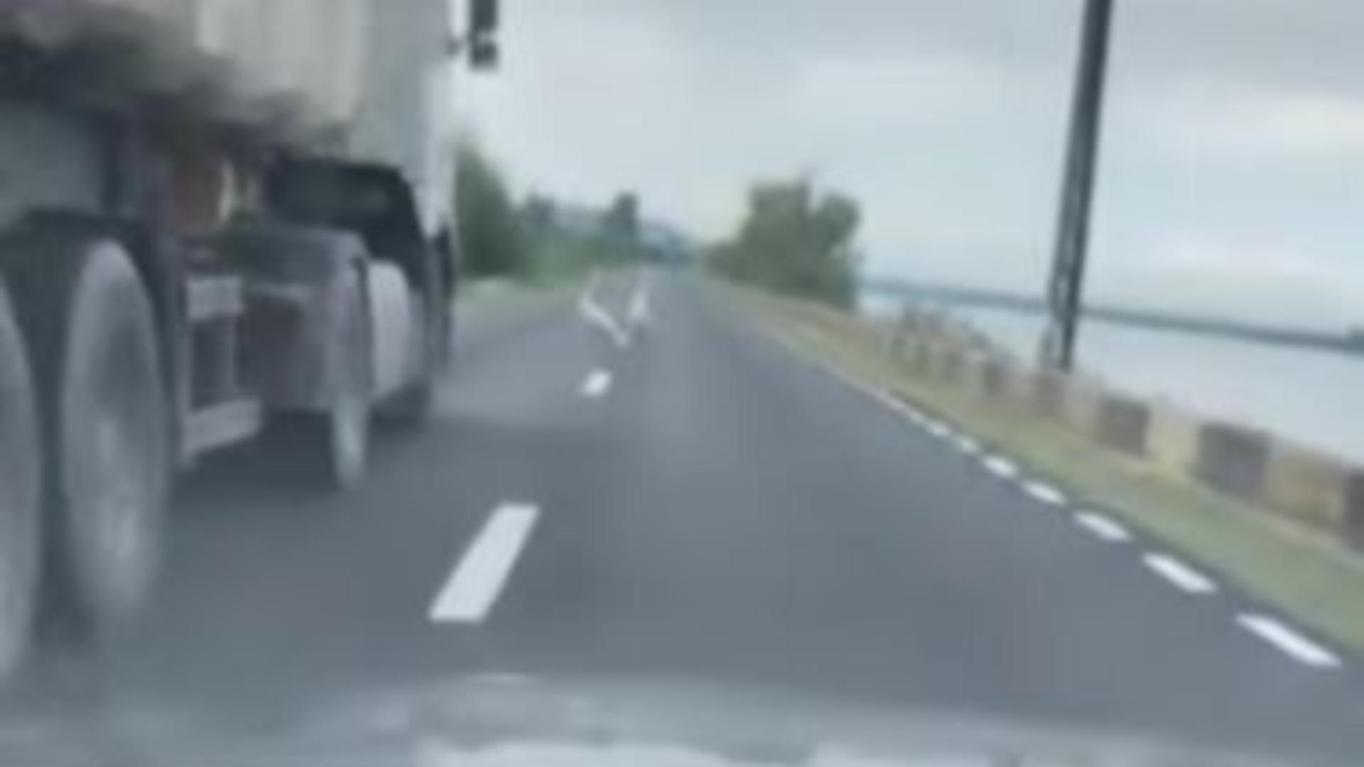 Scenă revoltătoare pe șosea: șofer surprins în timp ce calcă intenționat o lebădă