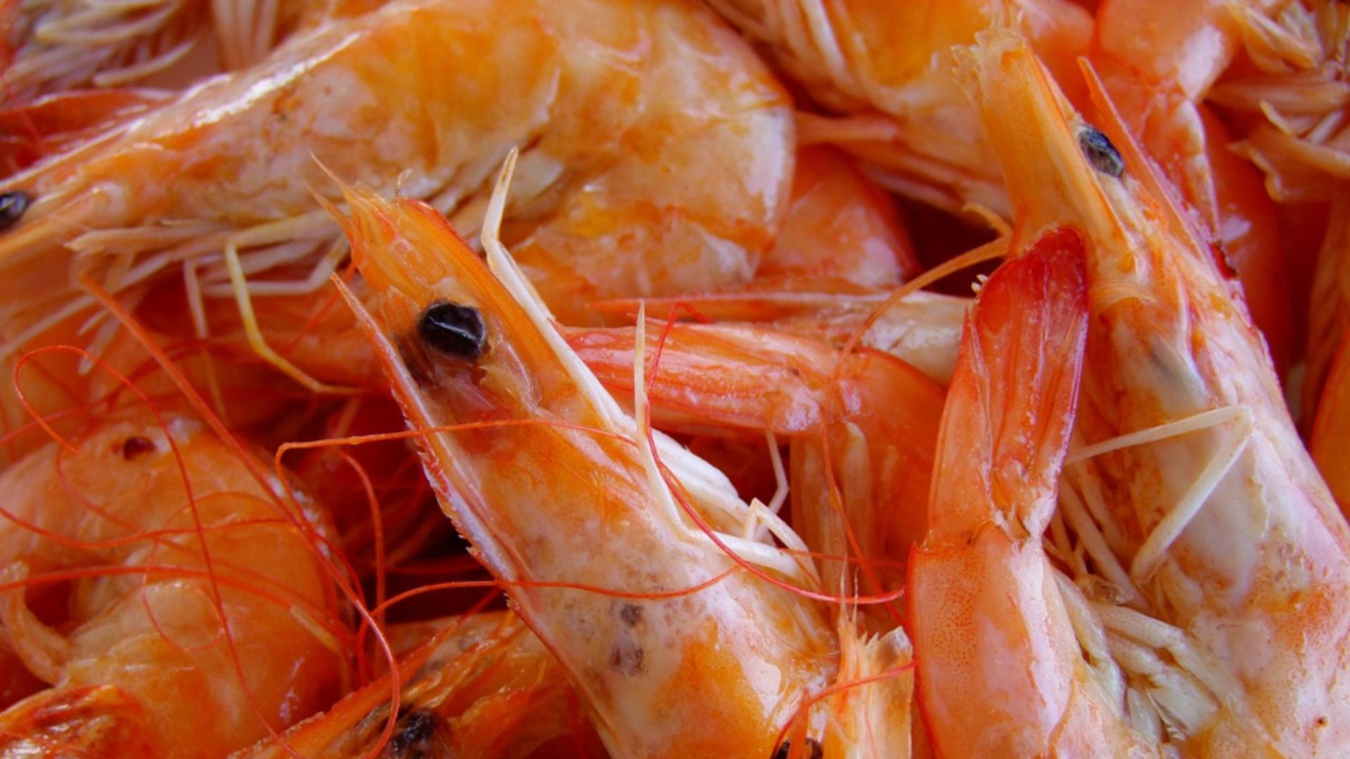 Pericol alimentar: creveți radioactivi într-un lanț de magazine. Risc de cancer crescut